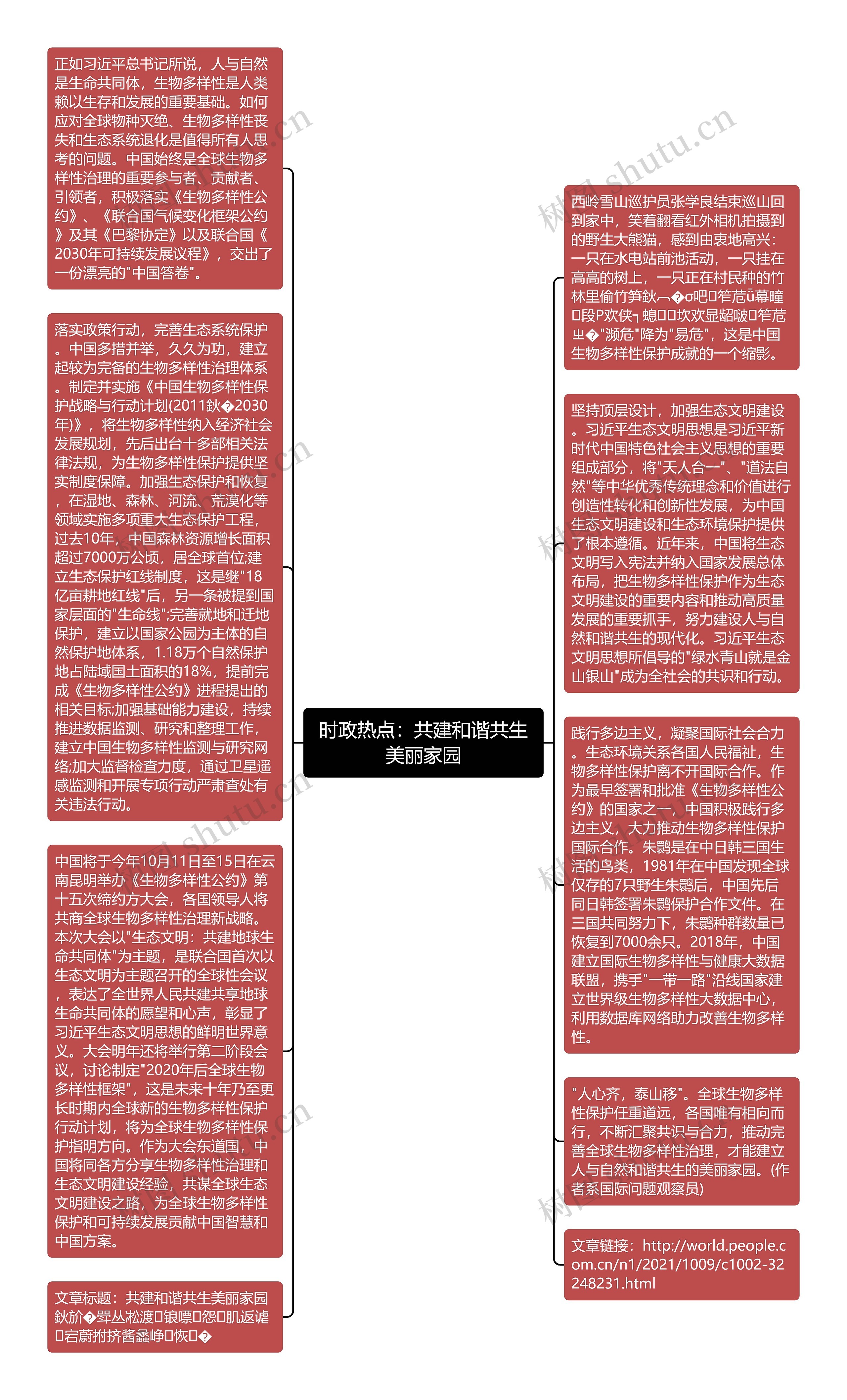 时政热点：共建和谐共生美丽家园