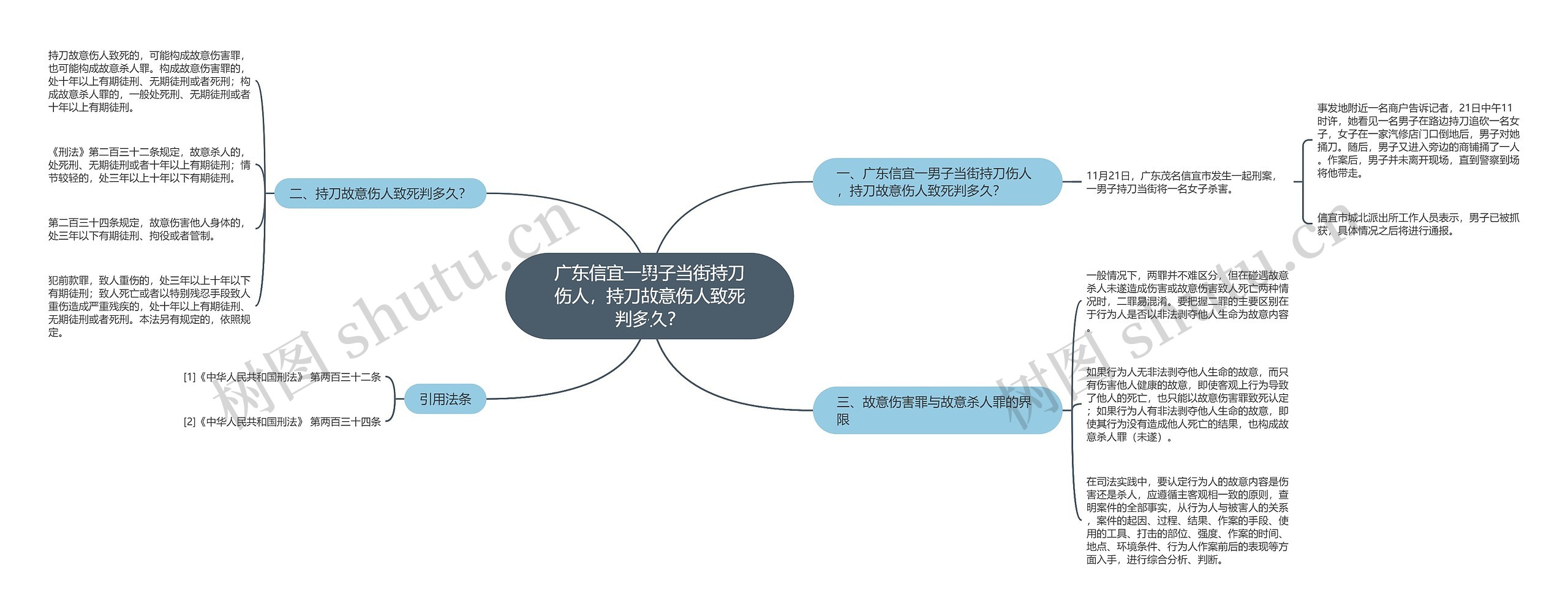 广东信宜一男子当街持刀伤人，持刀故意伤人致死判多久？思维导图