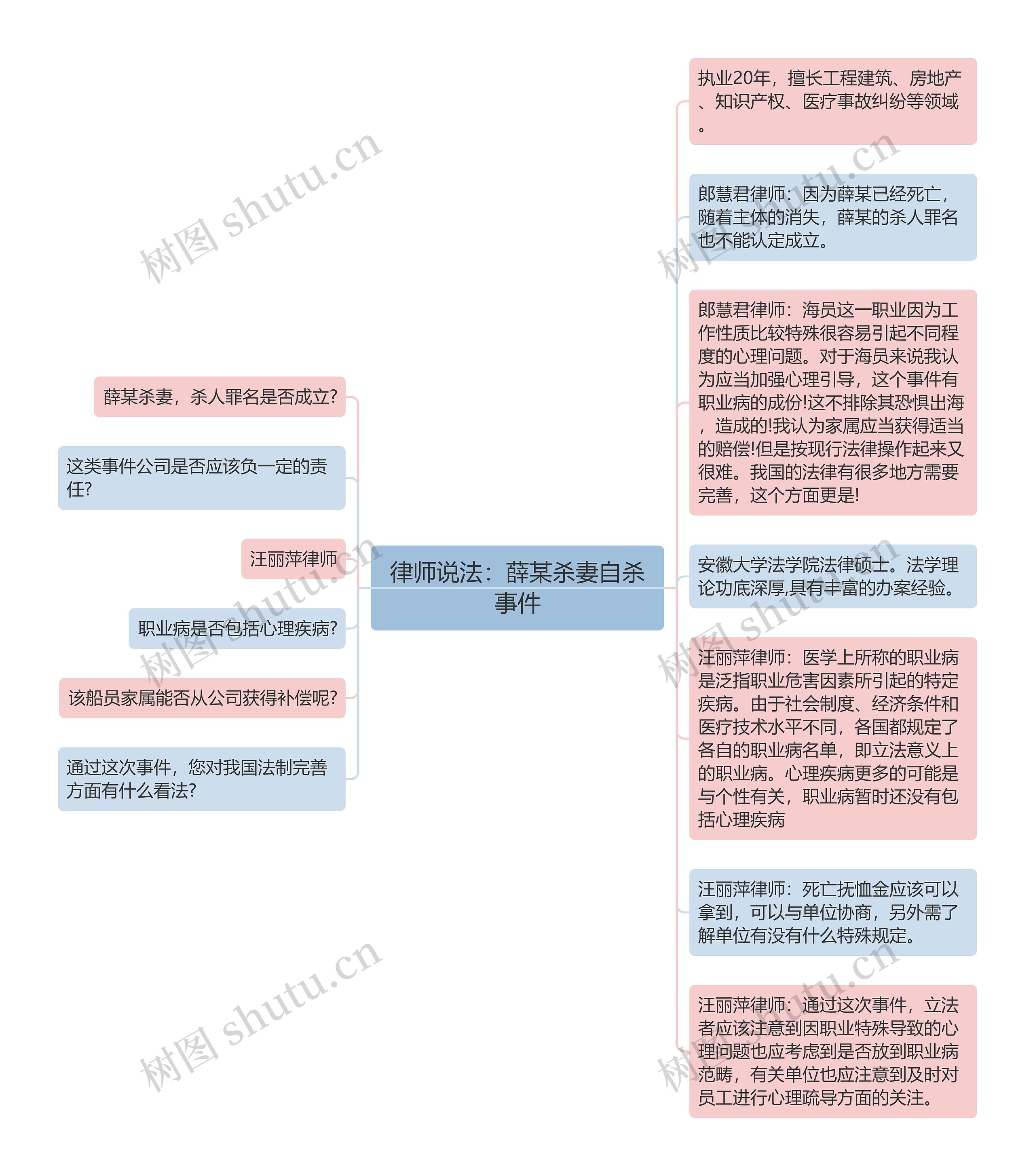 律师说法：薛某杀妻自杀事件思维导图