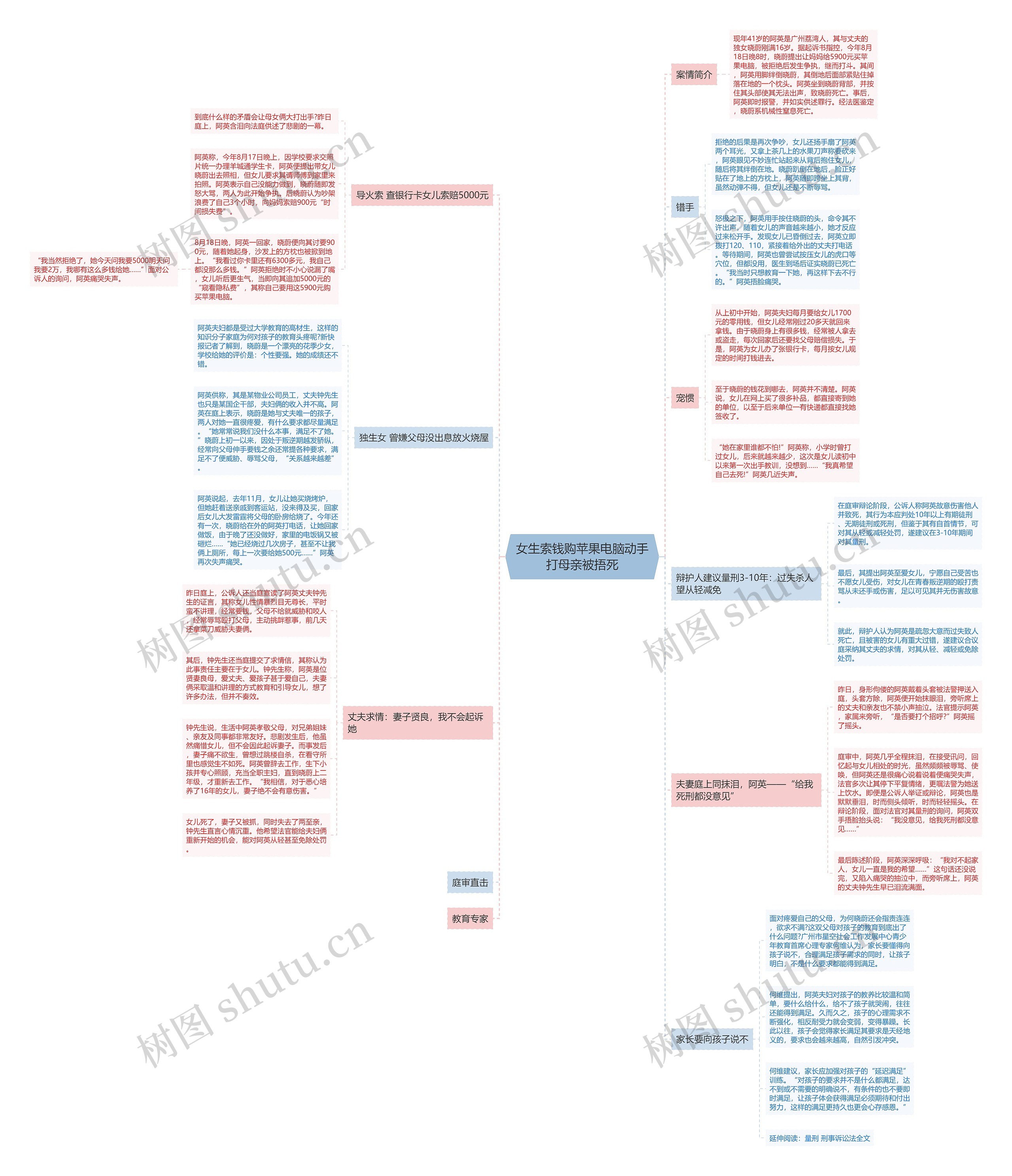 女生索钱购苹果电脑动手打母亲被捂死思维导图