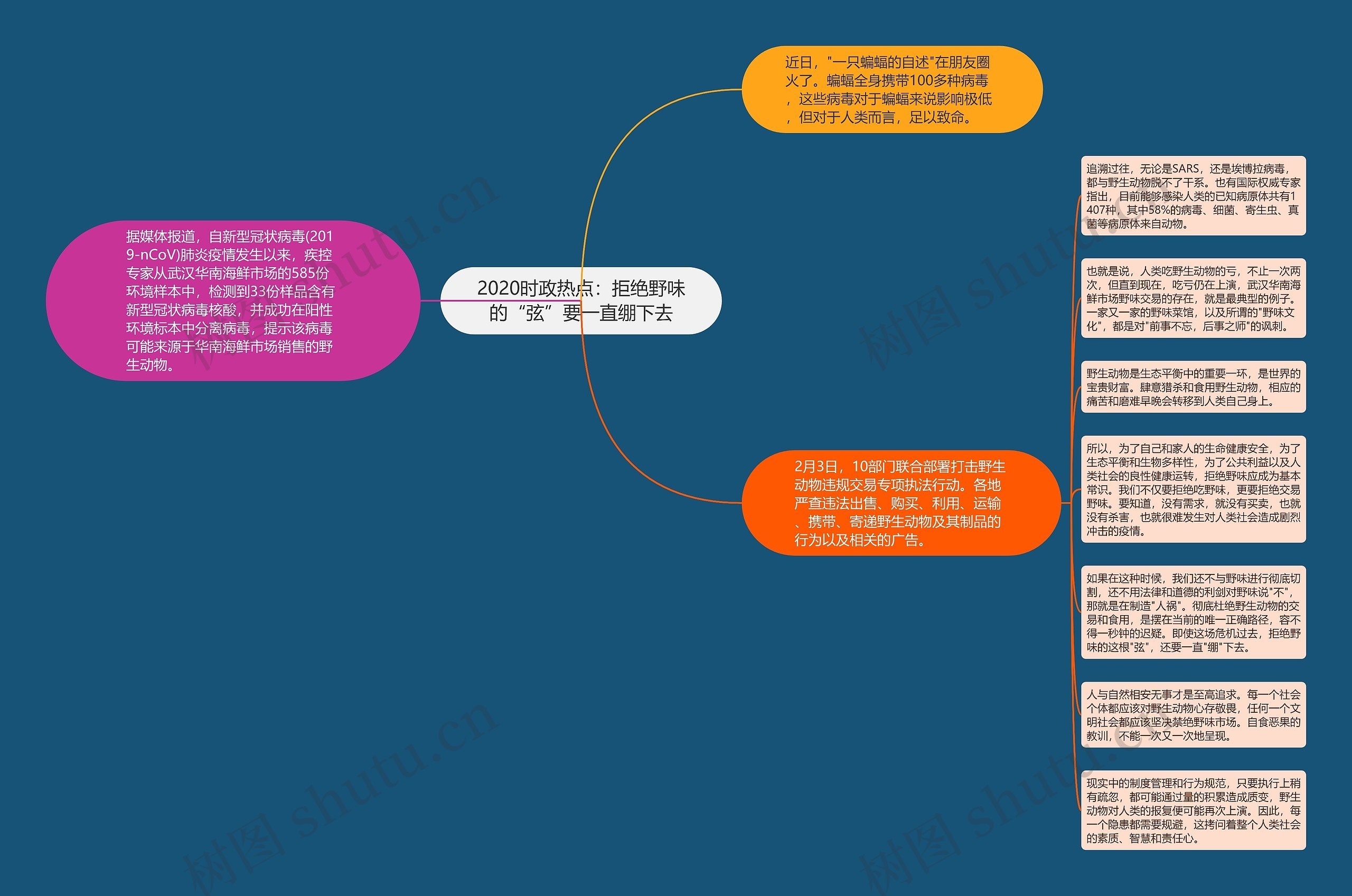 2020时政热点：拒绝野味的“弦”要一直绷下去思维导图