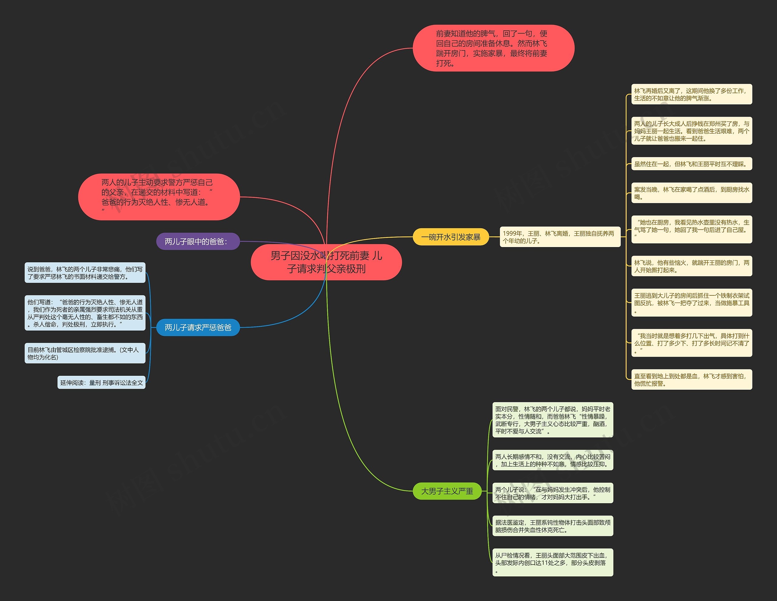 男子因没水喝打死前妻 儿子请求判父亲极刑思维导图