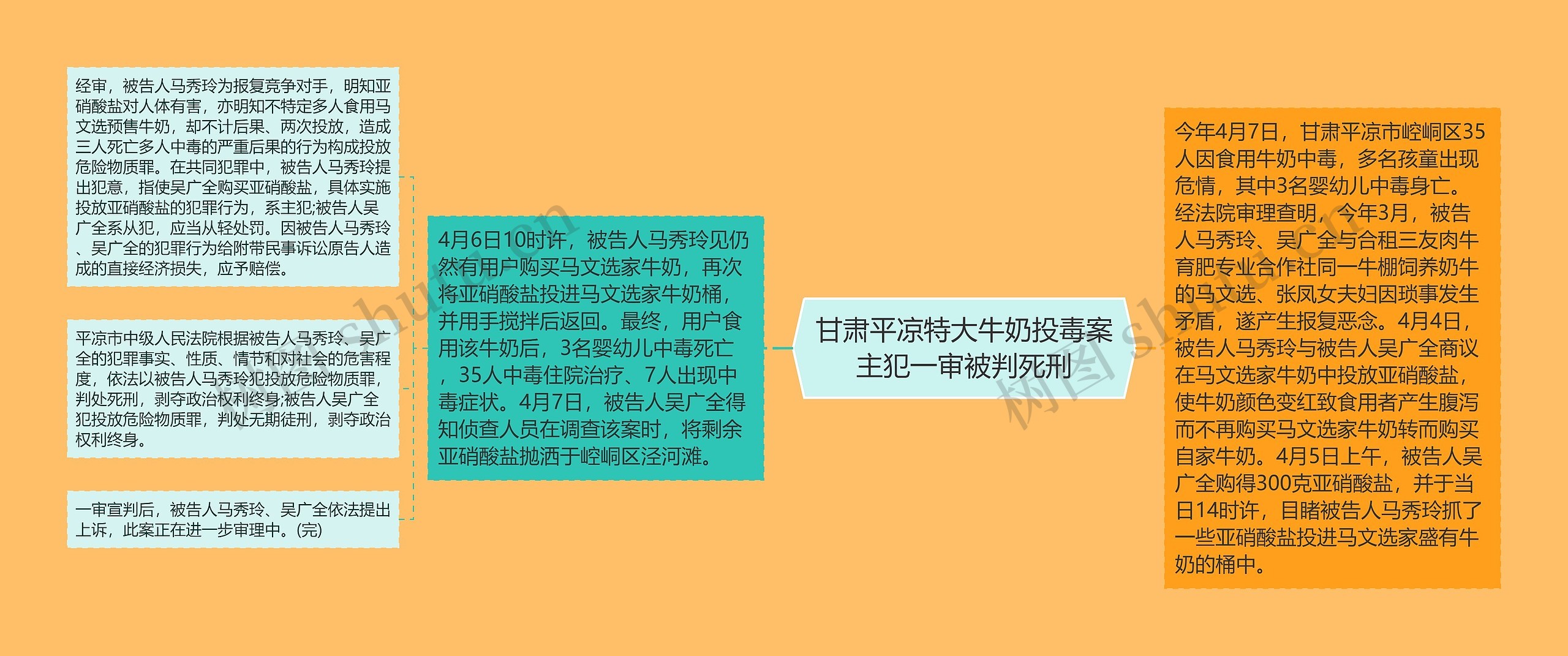 甘肃平凉特大牛奶投毒案主犯一审被判死刑思维导图