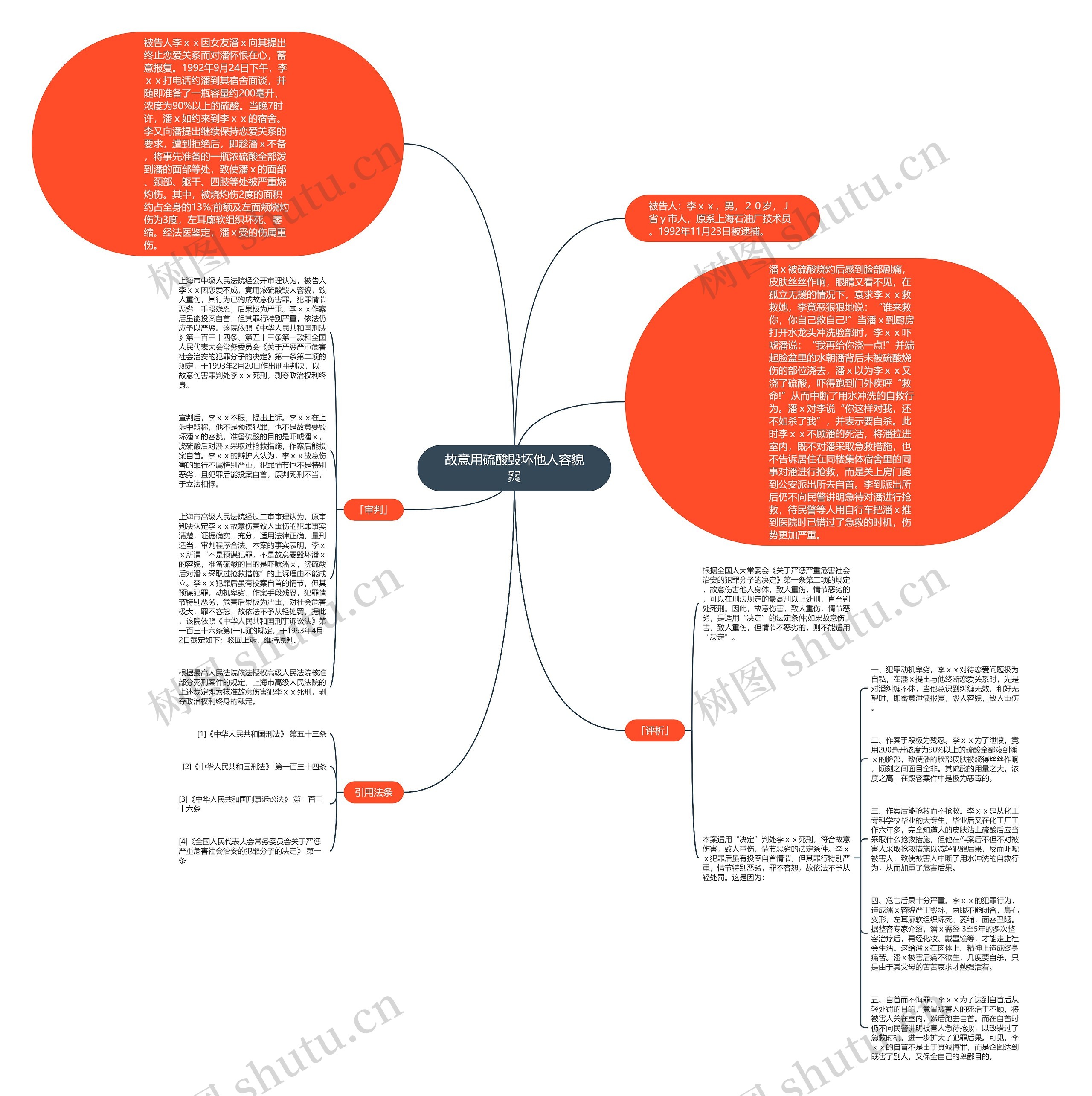 故意用硫酸毁坏他人容貌案思维导图