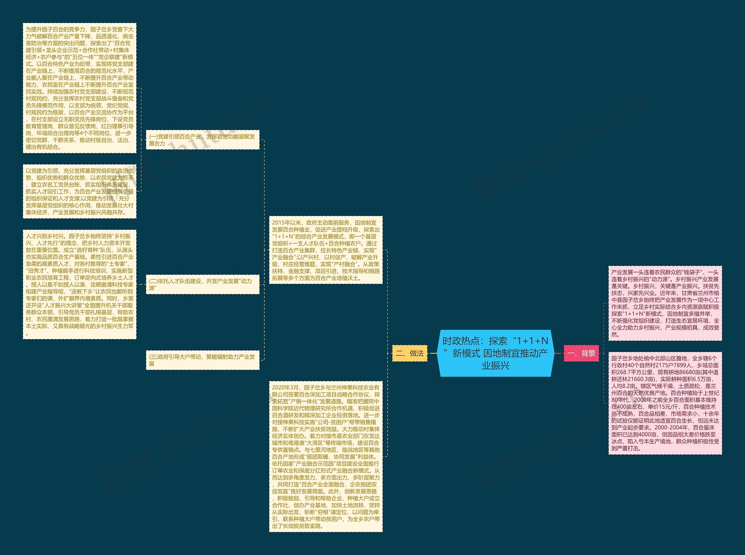 时政热点：探索“1+1+N”新模式 因地制宜推动产业振兴思维导图