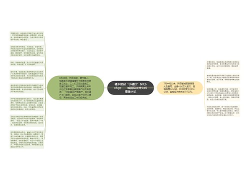 橘乡燃起“小橘灯”&lt;br&gt;——城固局支持灾后重建小记