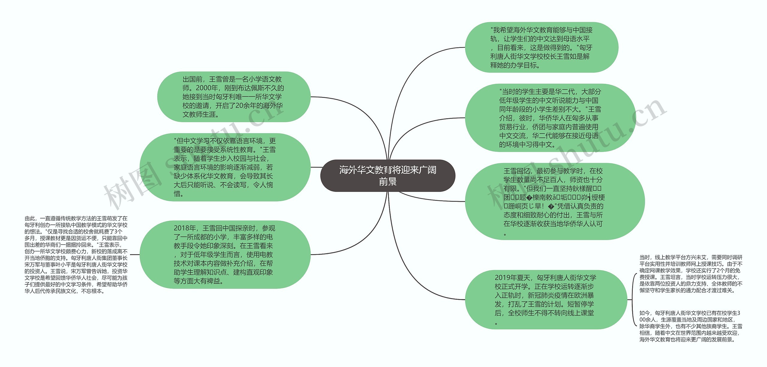 海外华文教育将迎来广阔前景思维导图