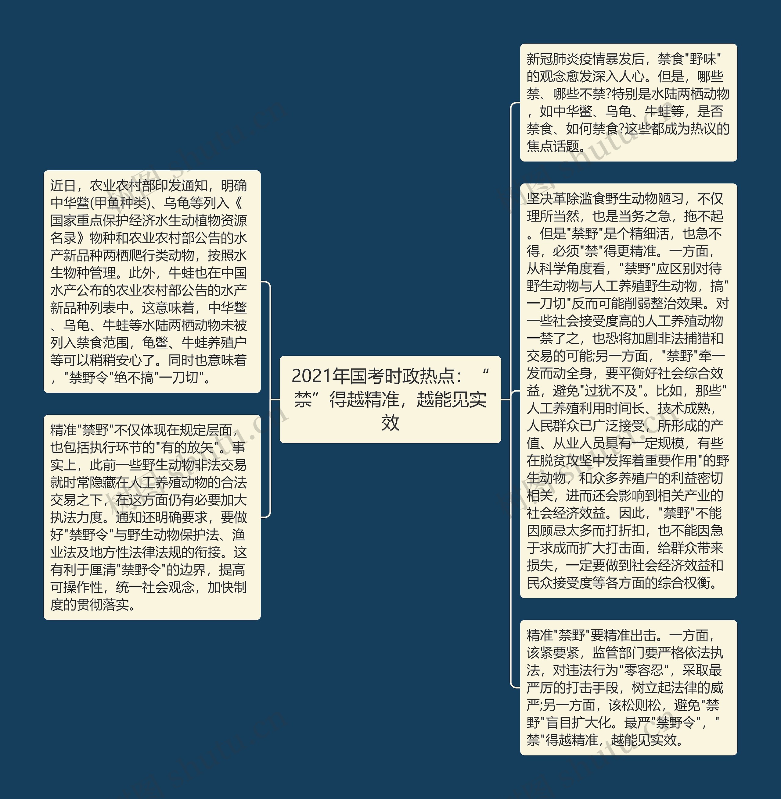 2021年国考时政热点：“禁”得越精准，越能见实效思维导图