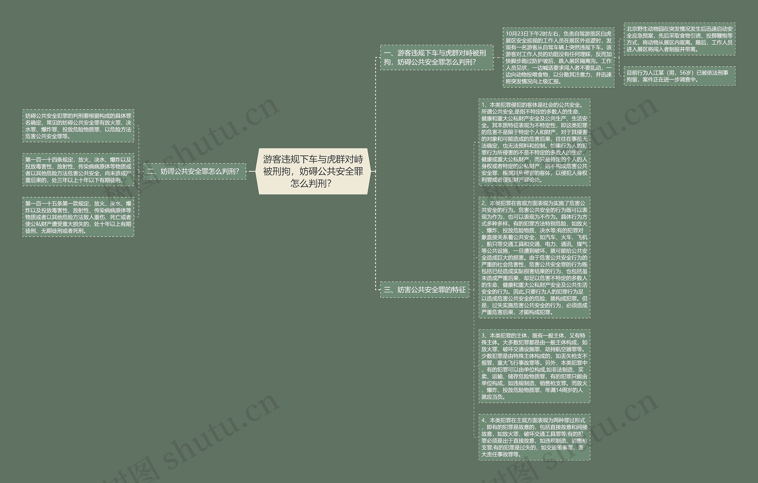 游客违规下车与虎群对峙被刑拘，妨碍公共安全罪怎么判刑？思维导图