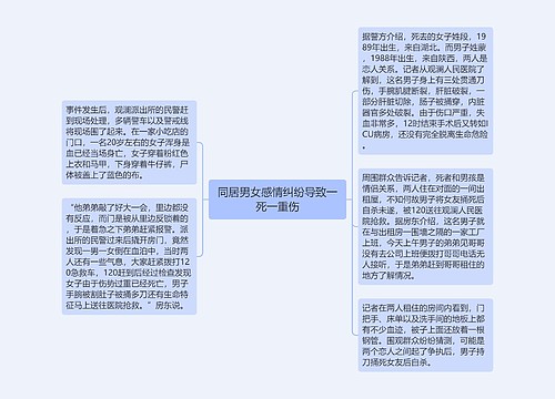 同居男女感情纠纷导致一死一重伤