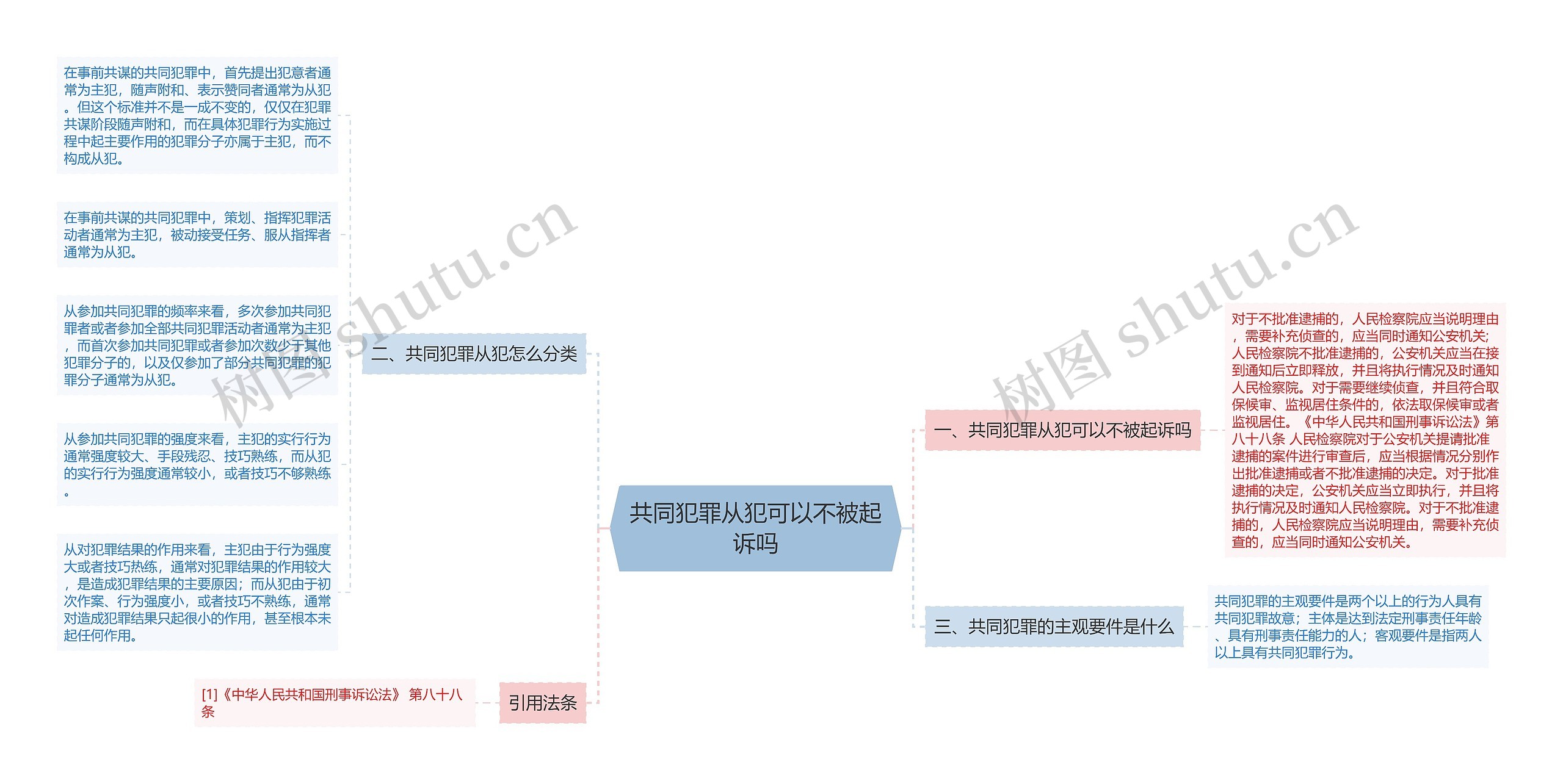 共同犯罪从犯可以不被起诉吗