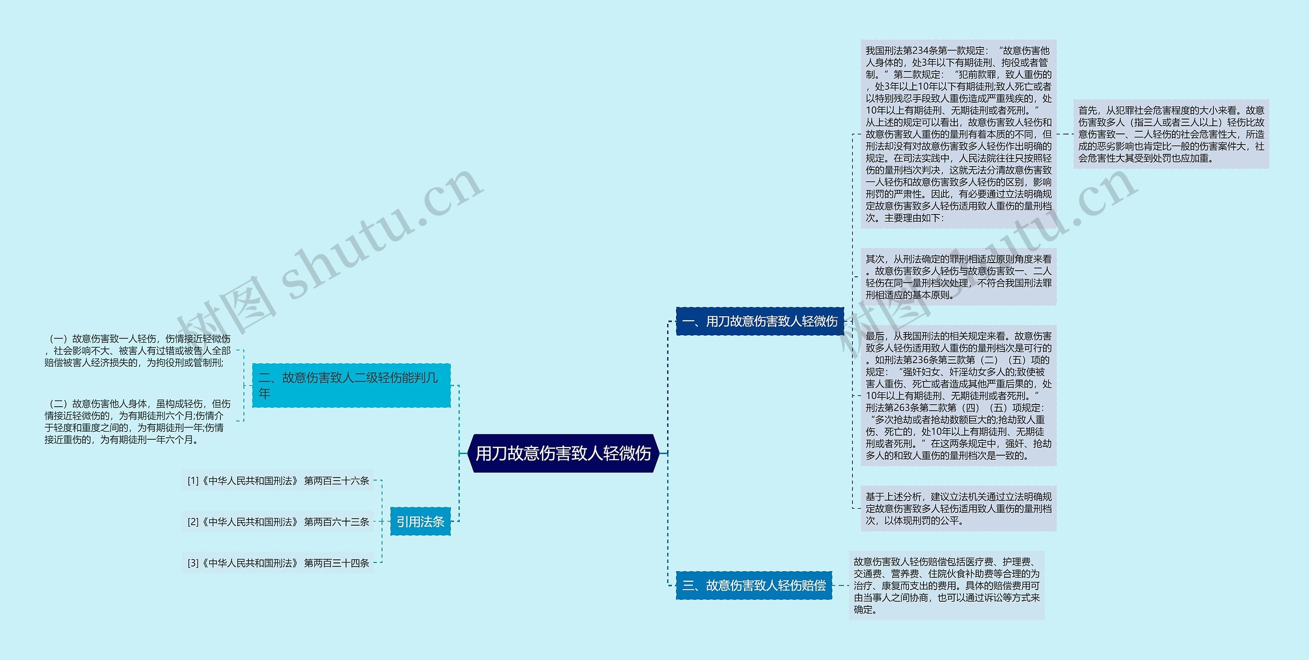 用刀故意伤害致人轻微伤思维导图