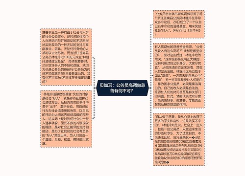 贝加耳：公务员高调做慈善有何不可？