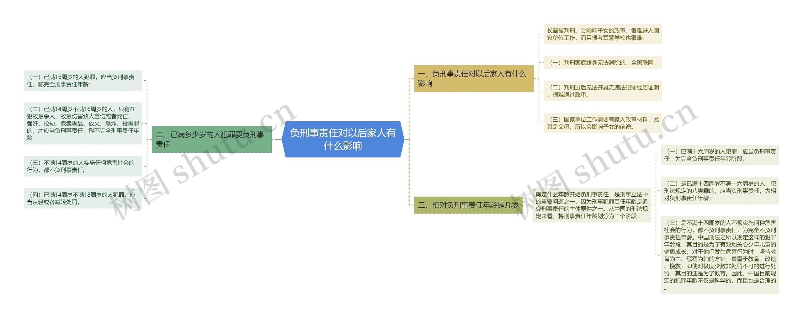 负刑事责任对以后家人有什么影响思维导图