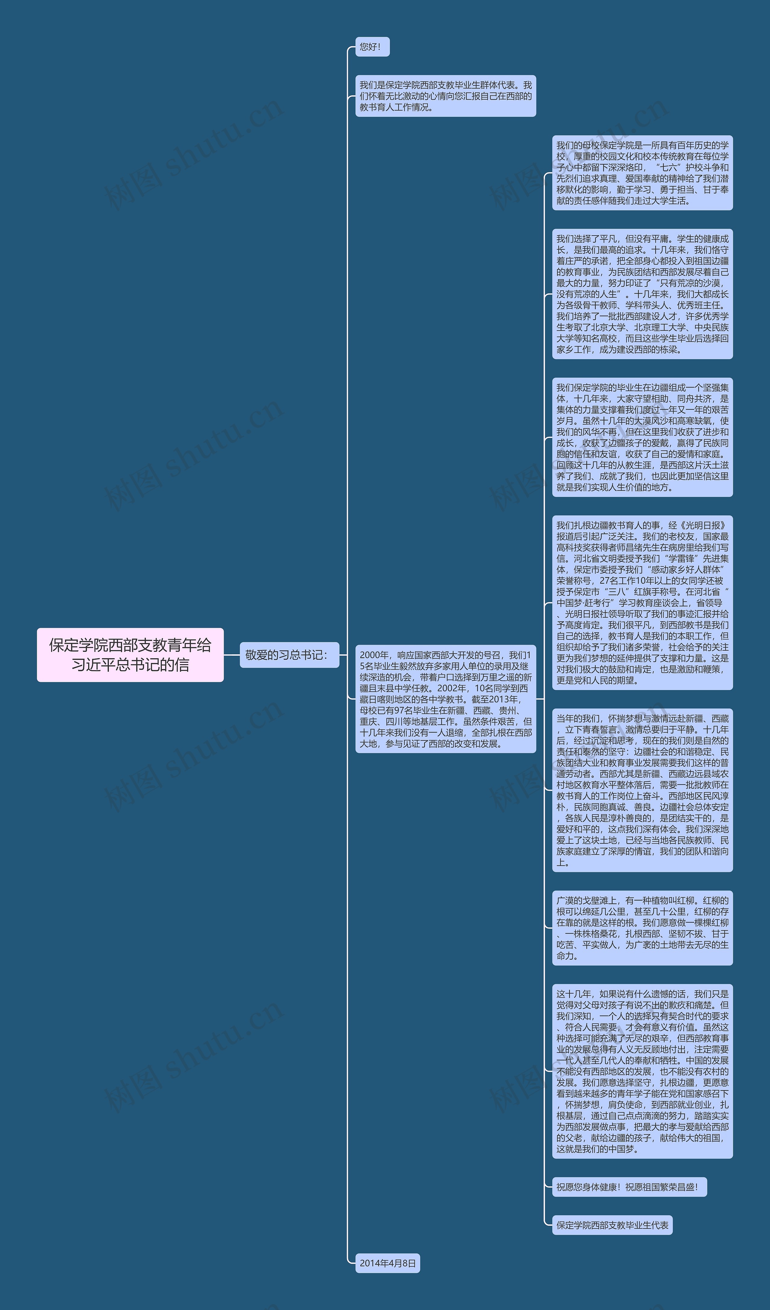 保定学院西部支教青年给习近平总书记的信