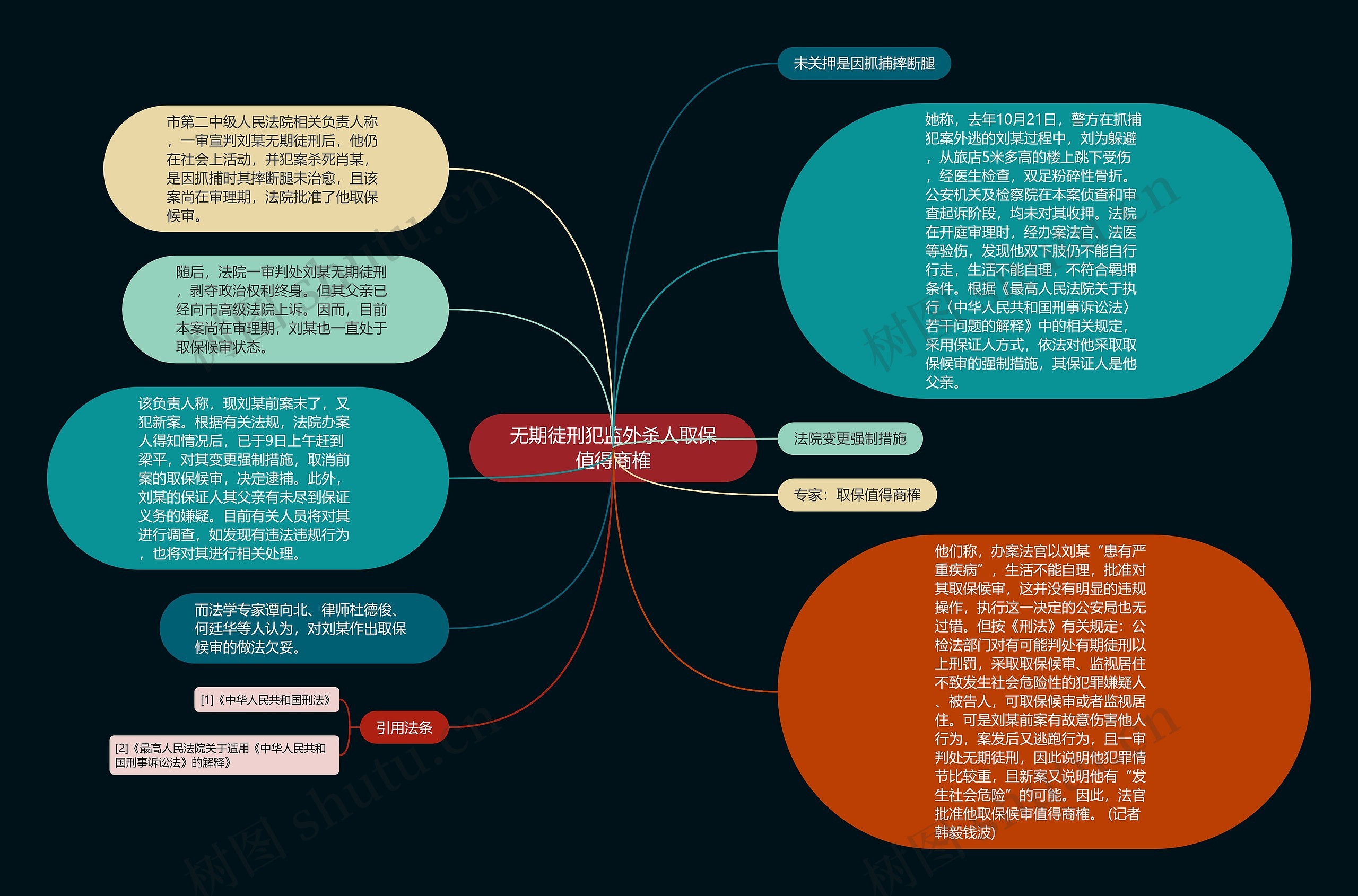 无期徒刑犯监外杀人取保值得商榷思维导图