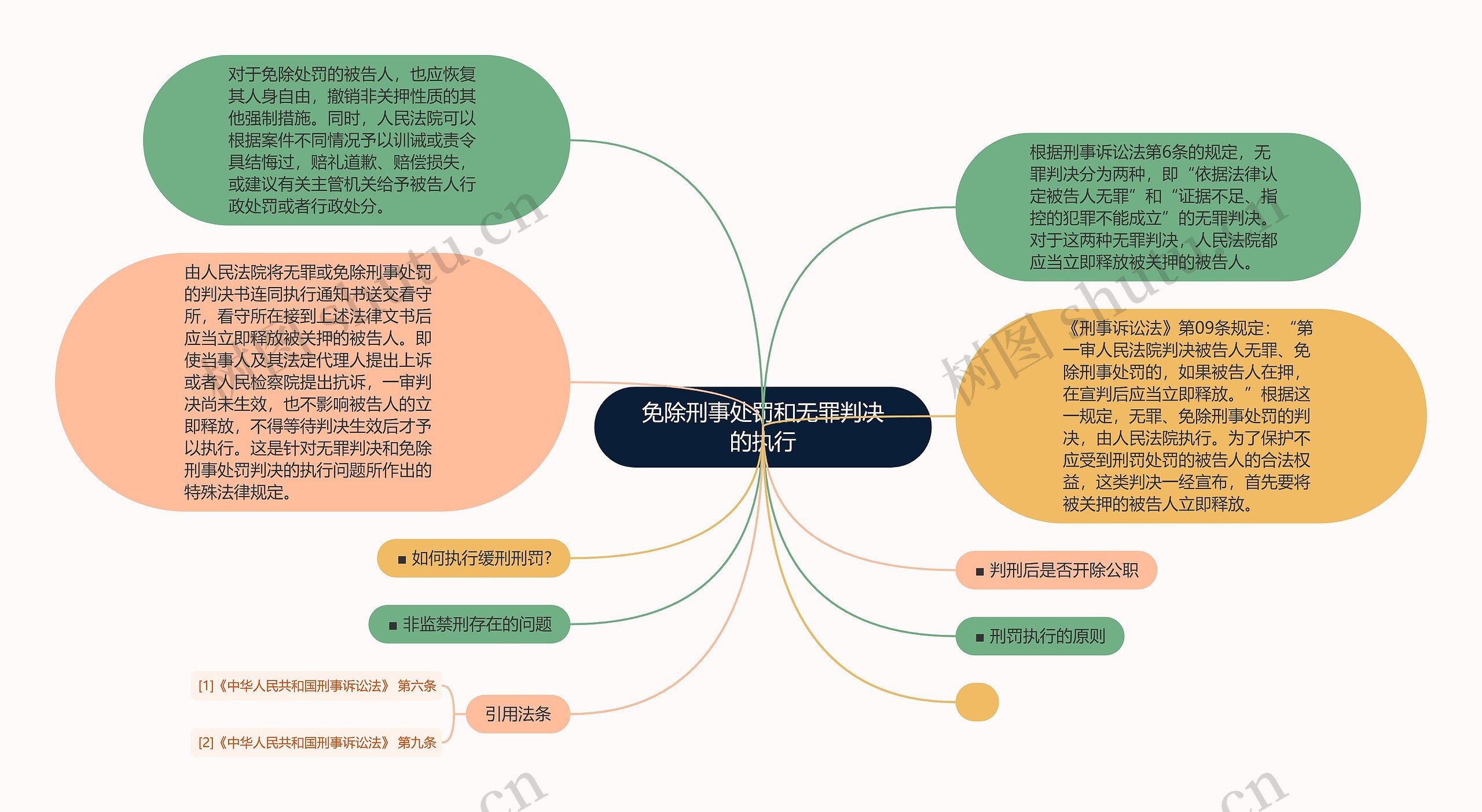 免除刑事处罚和无罪判决的执行思维导图