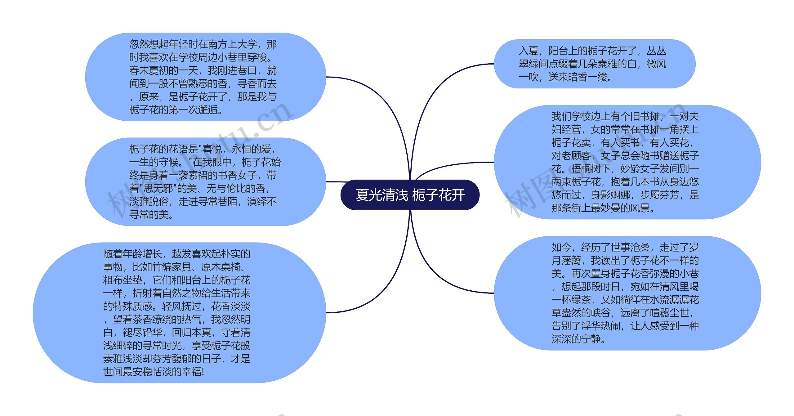 夏光清浅 栀子花开思维导图