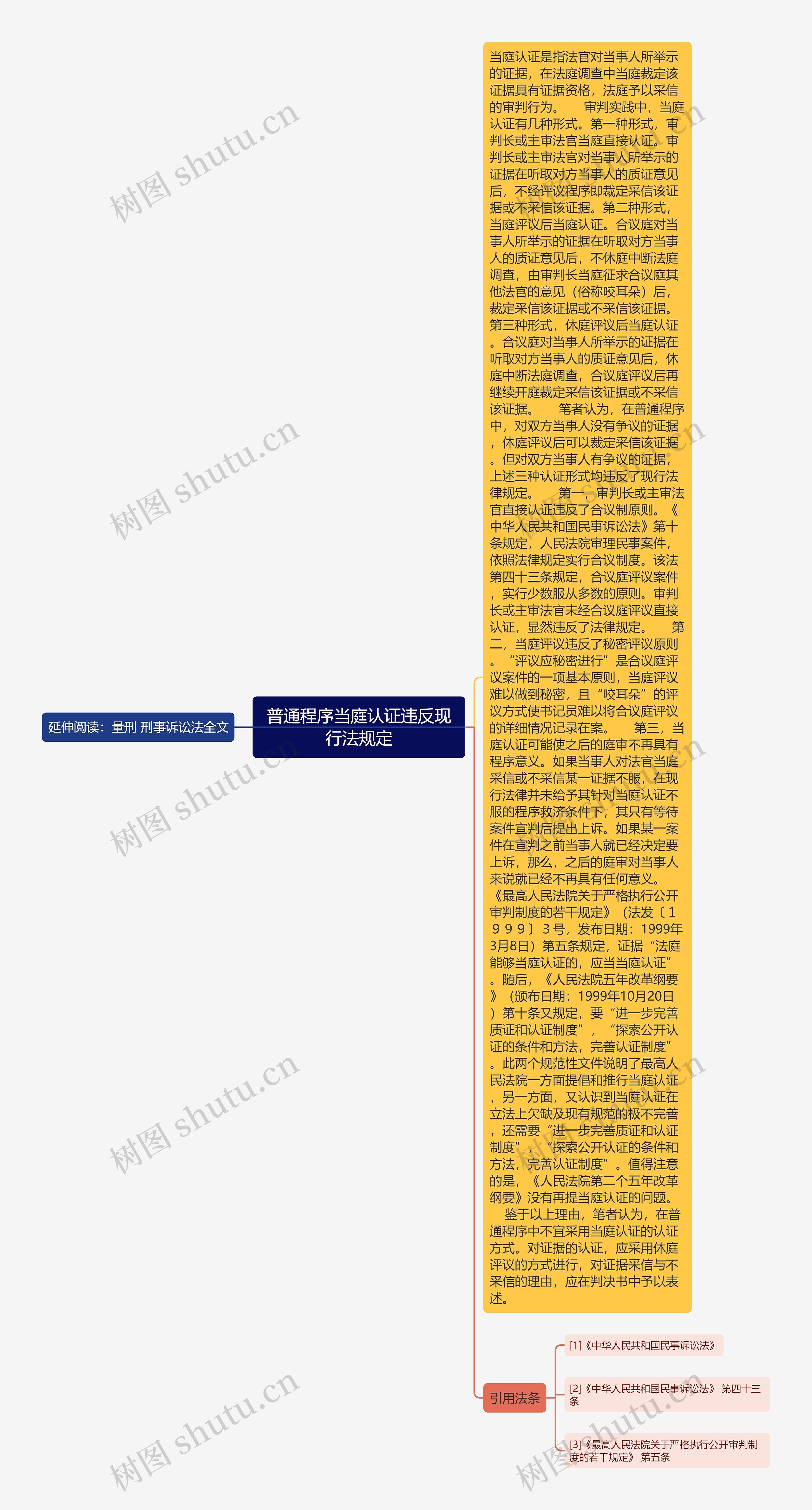 普通程序当庭认证违反现行法规定思维导图