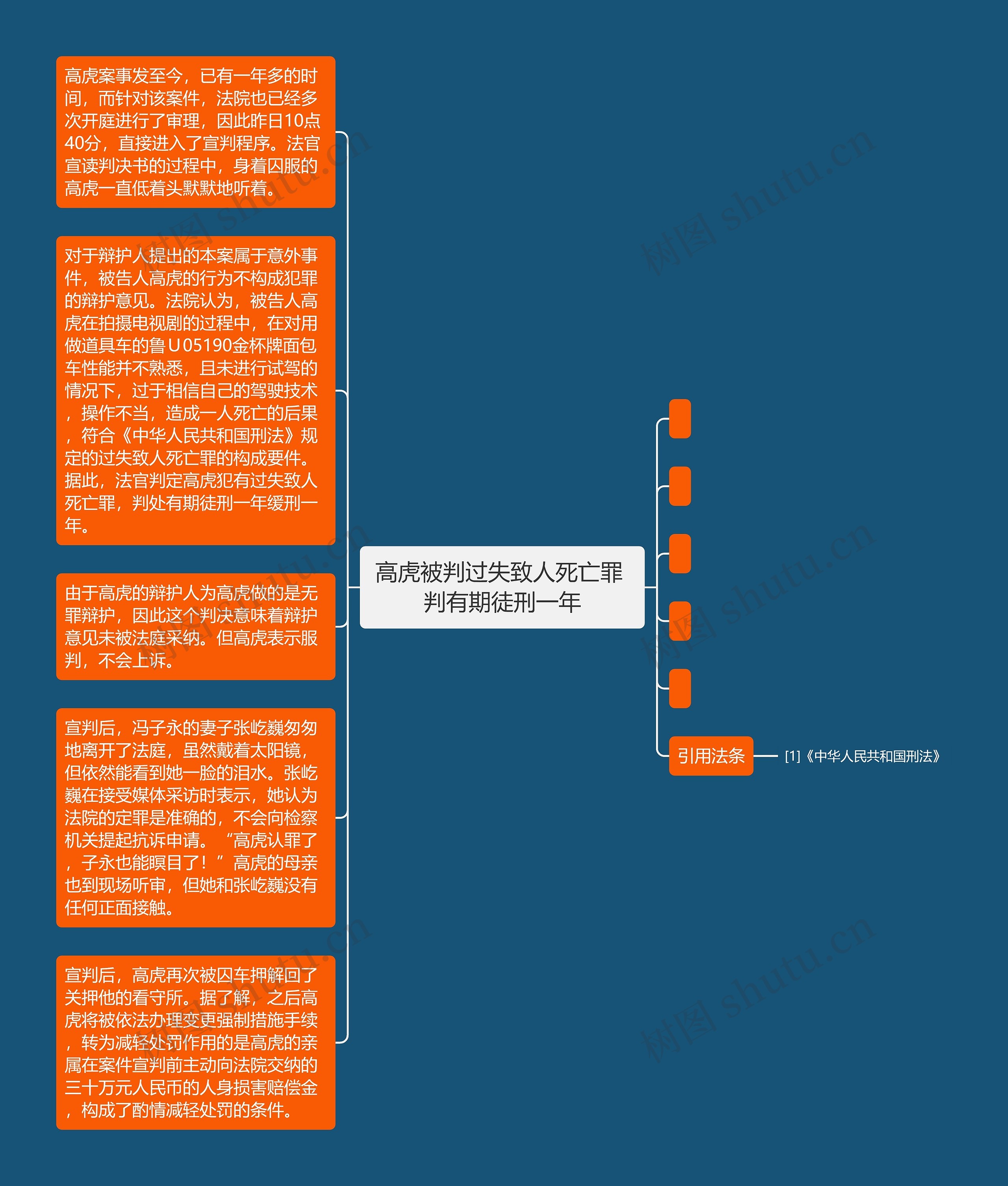 高虎被判过失致人死亡罪 判有期徒刑一年思维导图