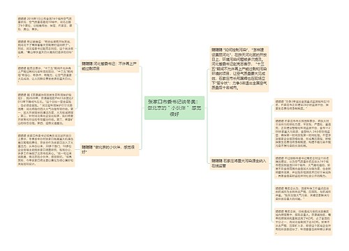 张家口市委书记谈冬奥：做北京的＂小伙伴＂ 感觉很好