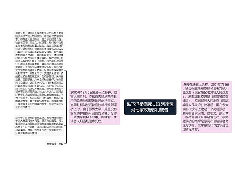 跌下浮桥溺死夫妇 河南漯河七家政府部门被告 