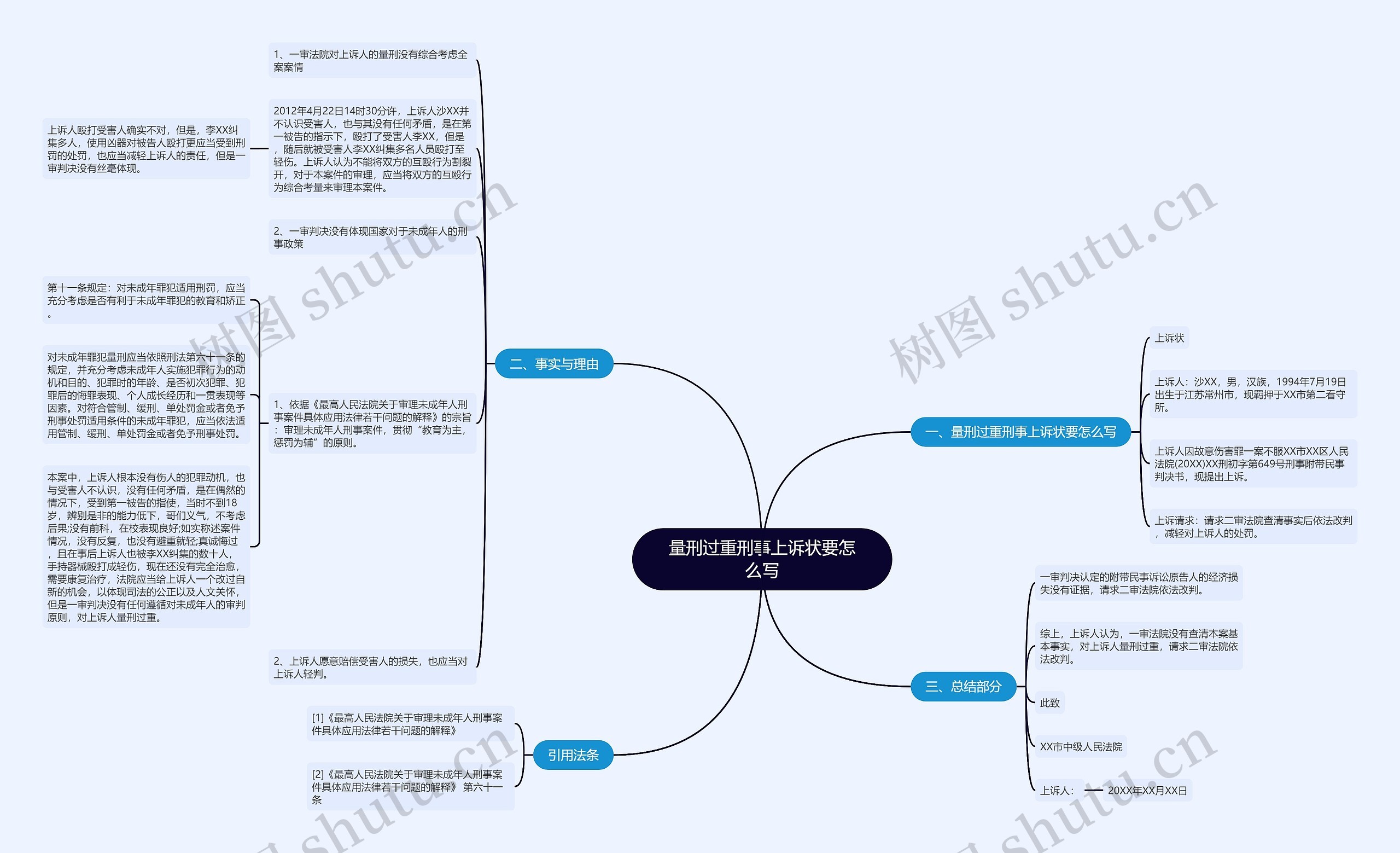 量刑过重刑事上诉状要怎么写思维导图