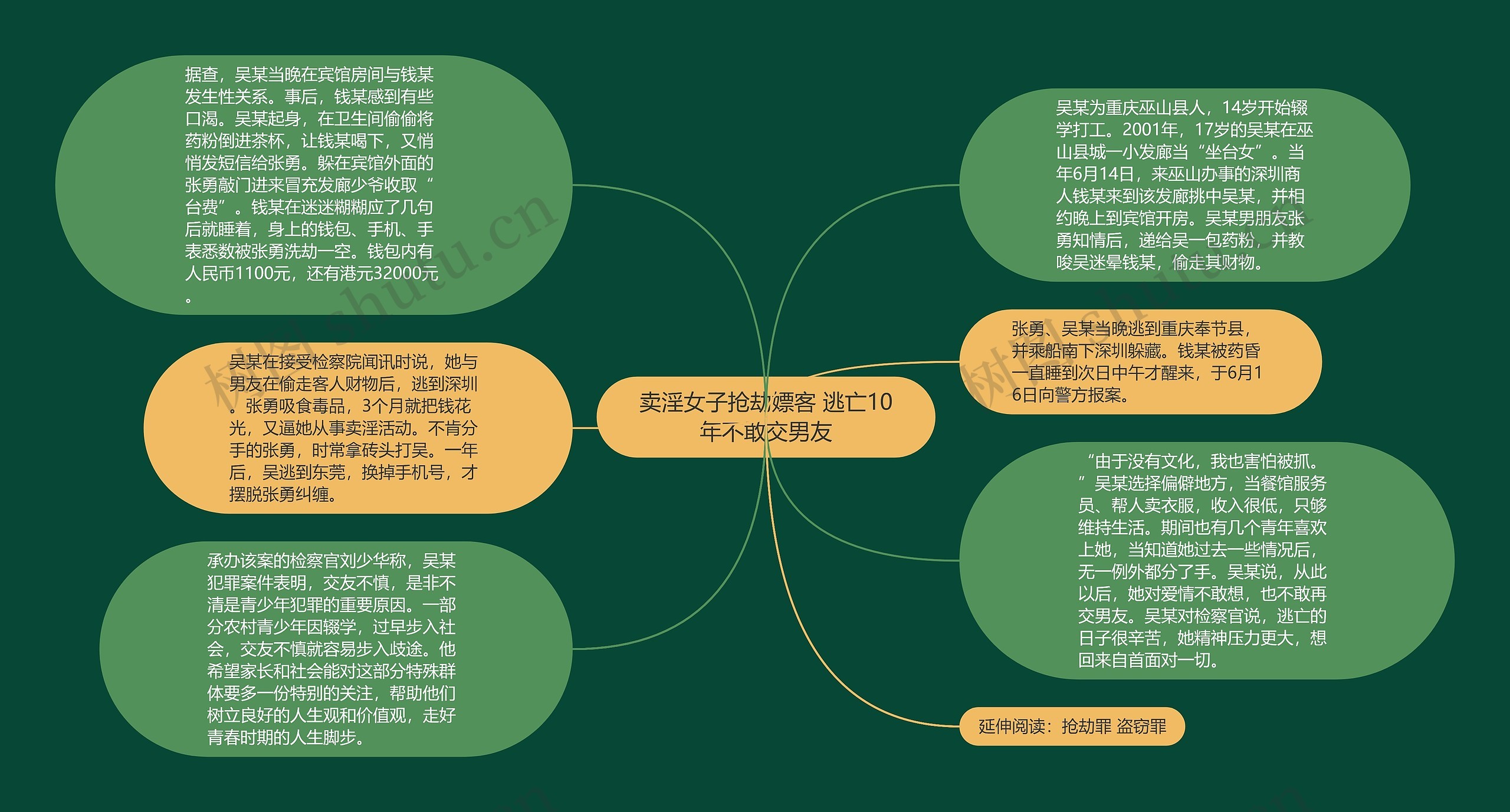卖淫女子抢劫嫖客 逃亡10年不敢交男友思维导图