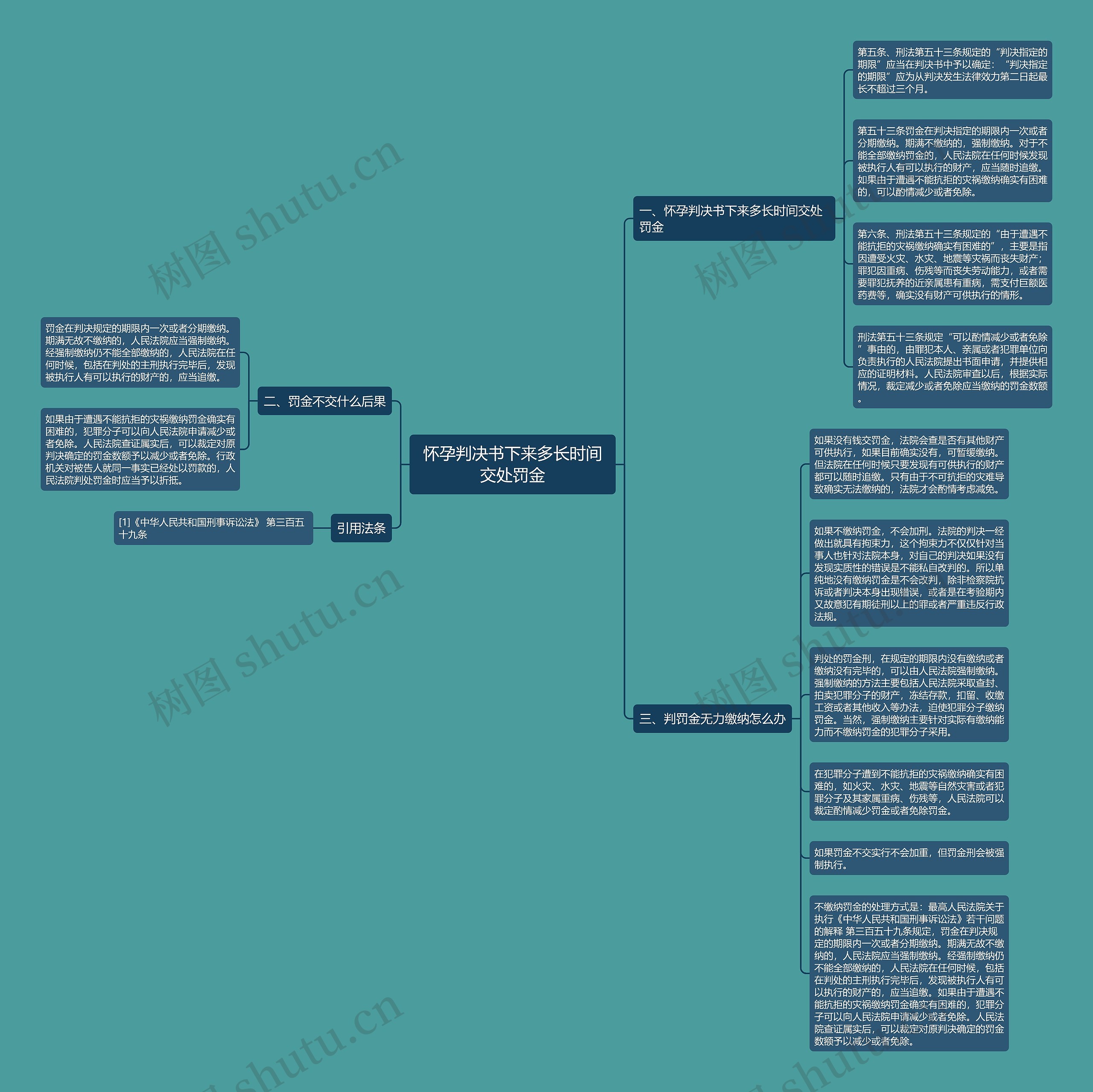 怀孕判决书下来多长时间交处罚金思维导图