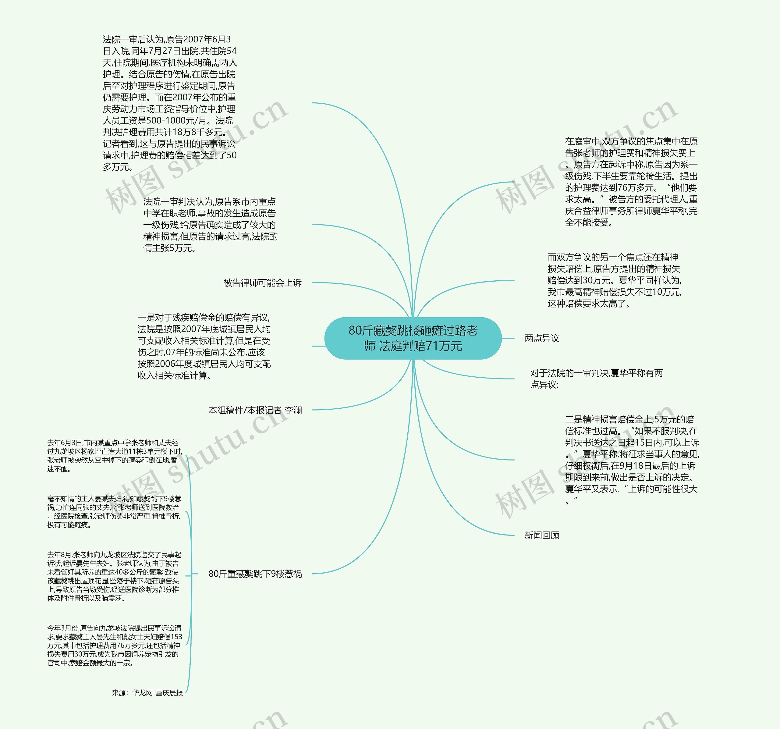 80斤藏獒跳楼砸瘫过路老师 法庭判赔71万元思维导图