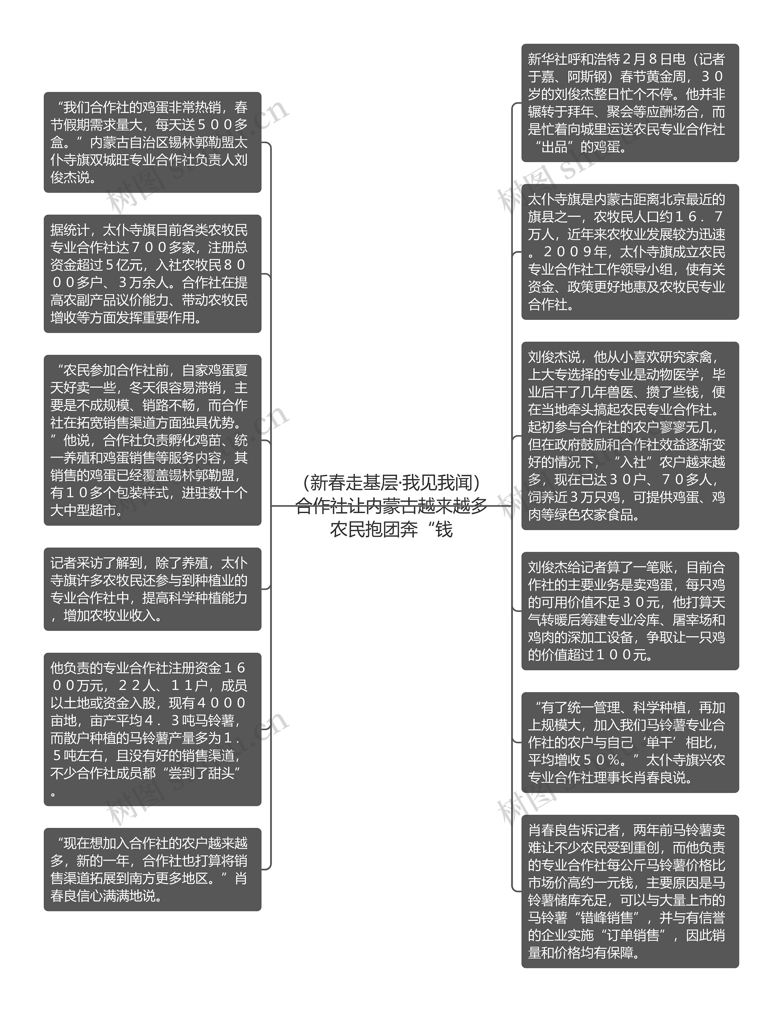 （新春走基层·我见我闻）合作社让内蒙古越来越多农民抱团奔“钱