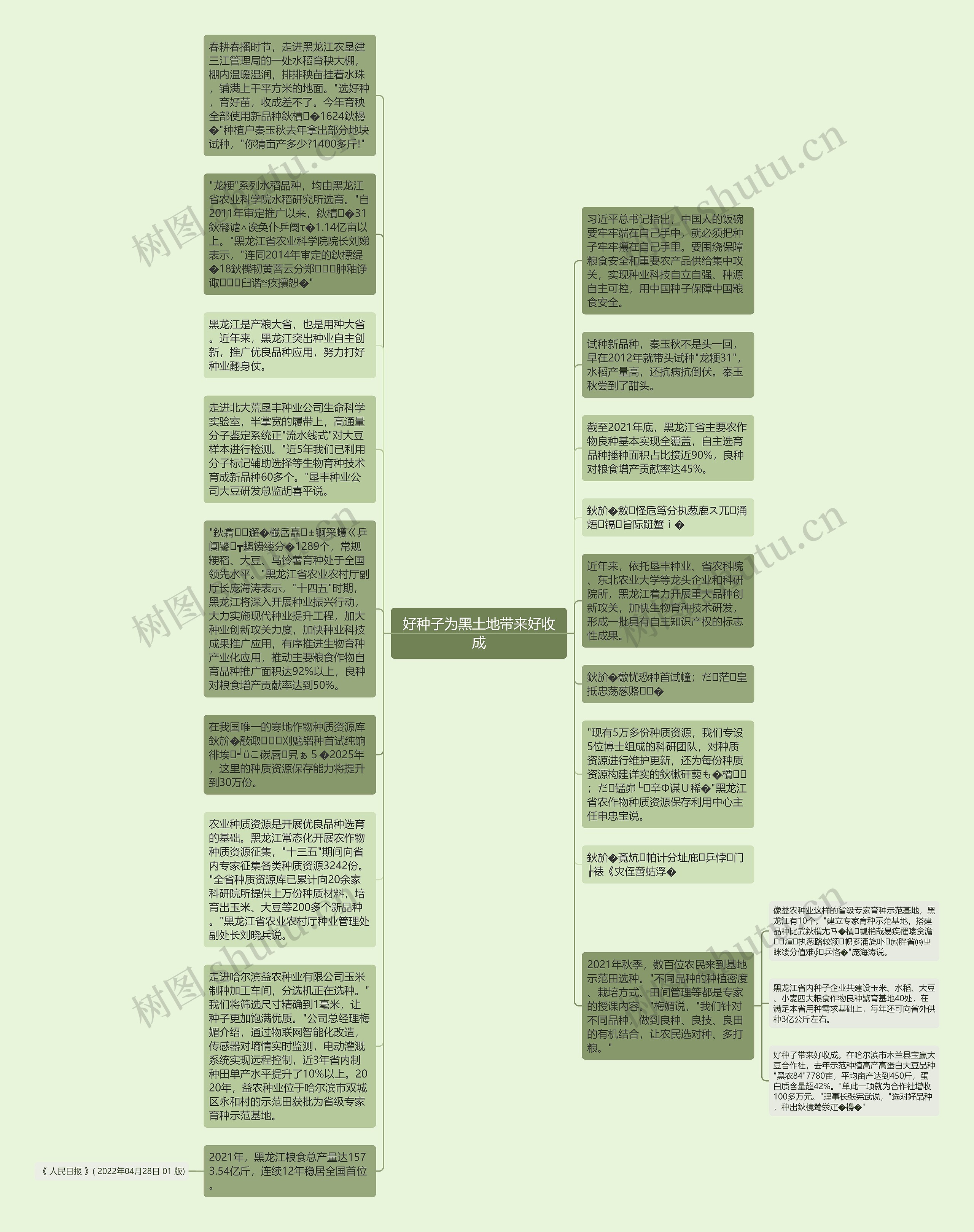 好种子为黑土地带来好收成思维导图