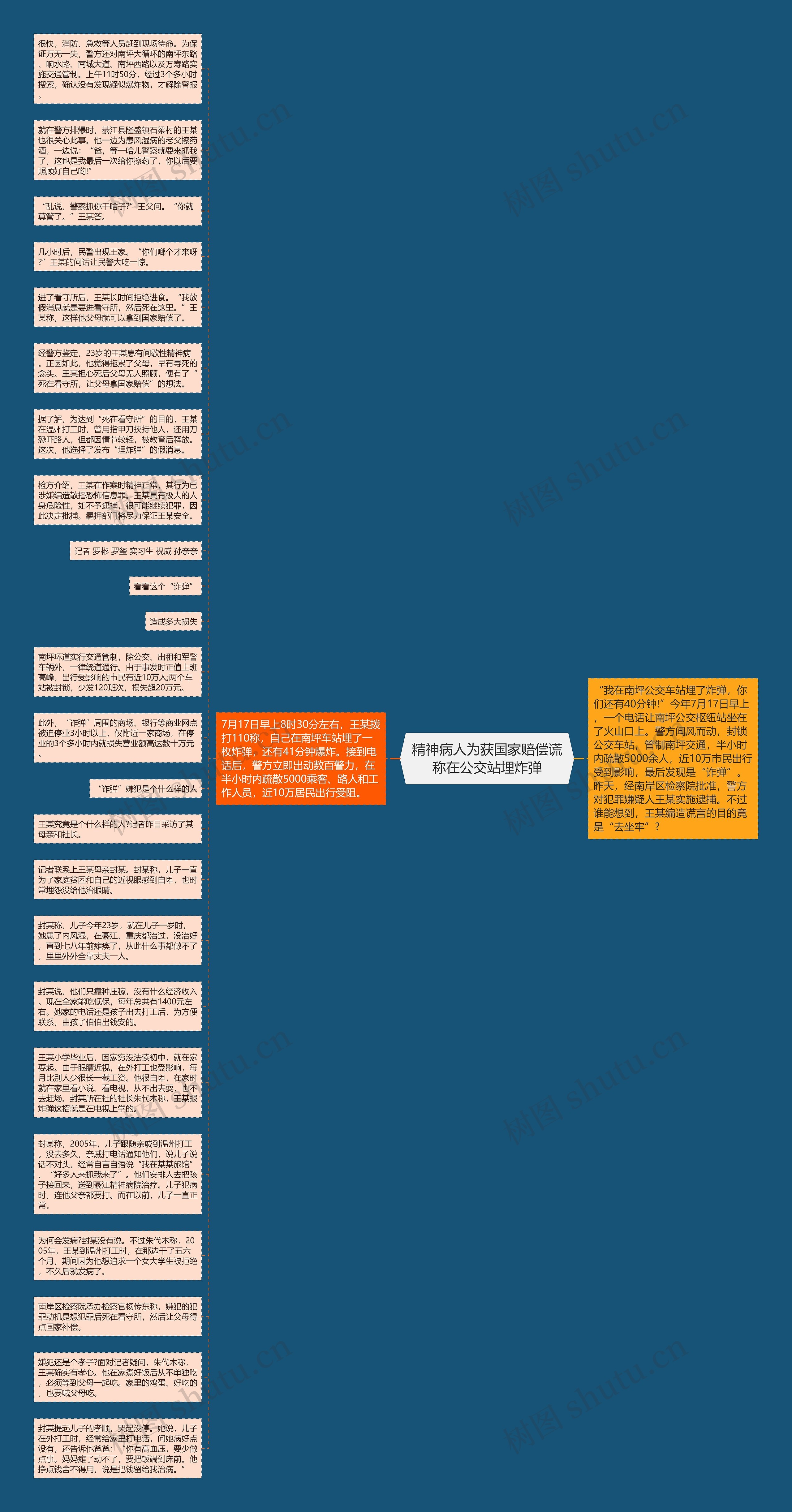 精神病人为获国家赔偿谎称在公交站埋炸弹思维导图