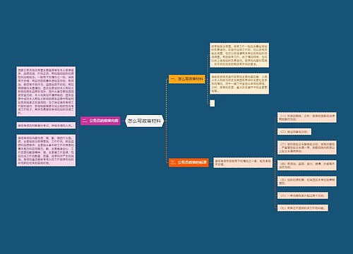 怎么写政审材料