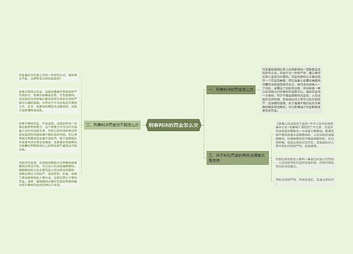 刑事判决的罚金怎么交