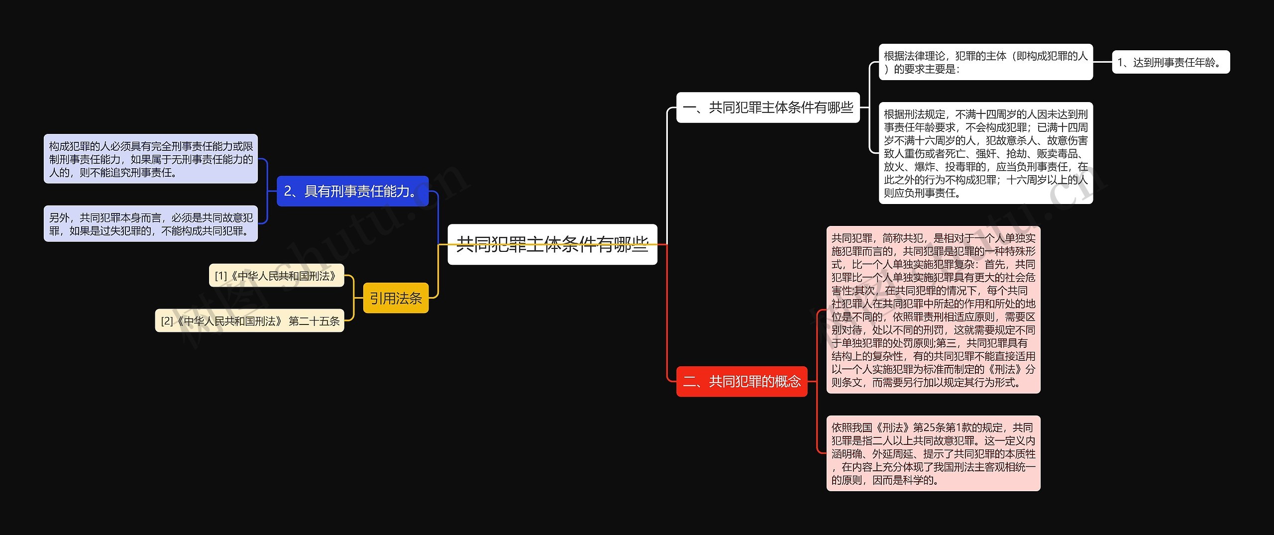 共同犯罪主体条件有哪些思维导图