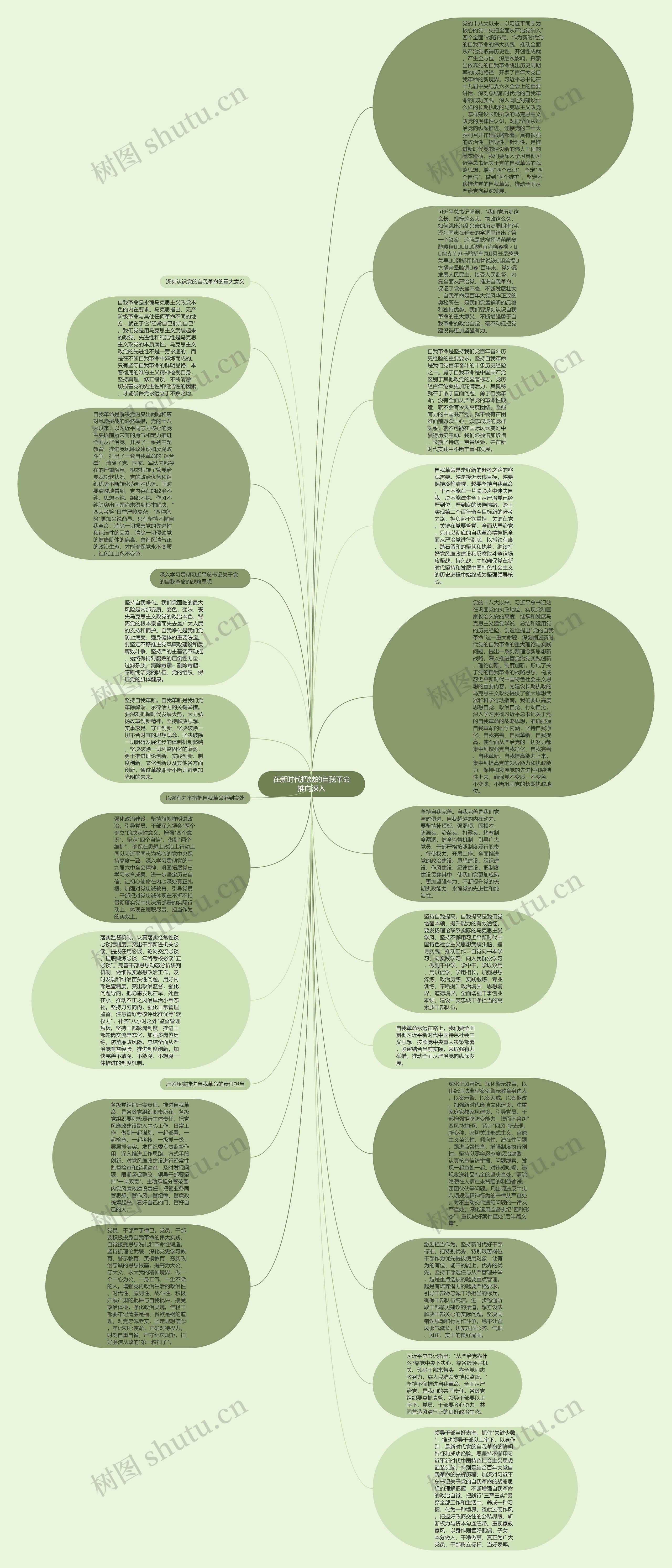 在新时代把党的自我革命推向深入思维导图