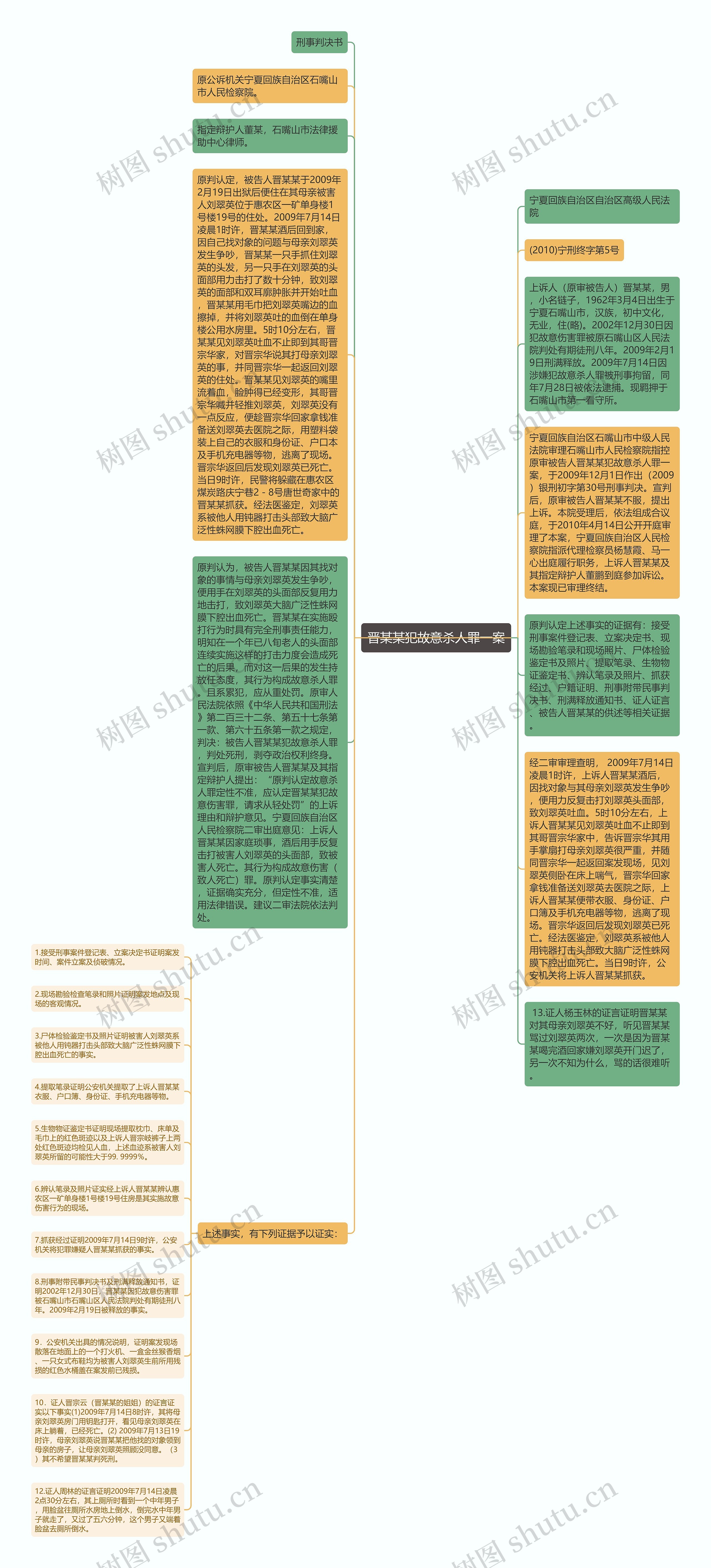 晋某某犯故意杀人罪一案思维导图