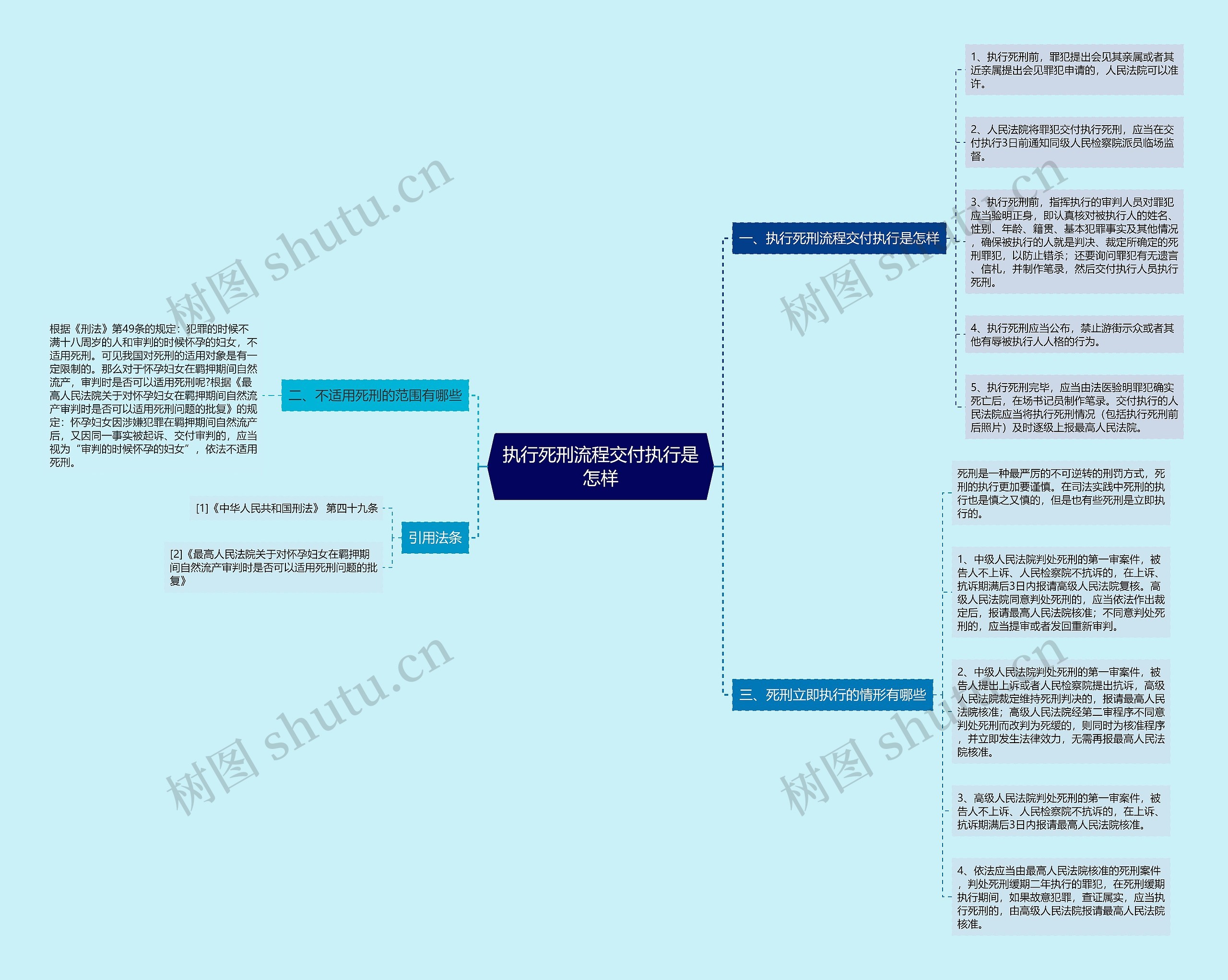 执行死刑流程交付执行是怎样思维导图