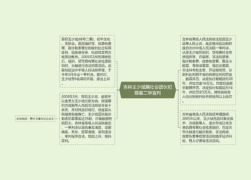 吉林王少斌黑社会团伙犯罪案二审宣判