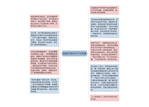 党建引领乡村产业发展