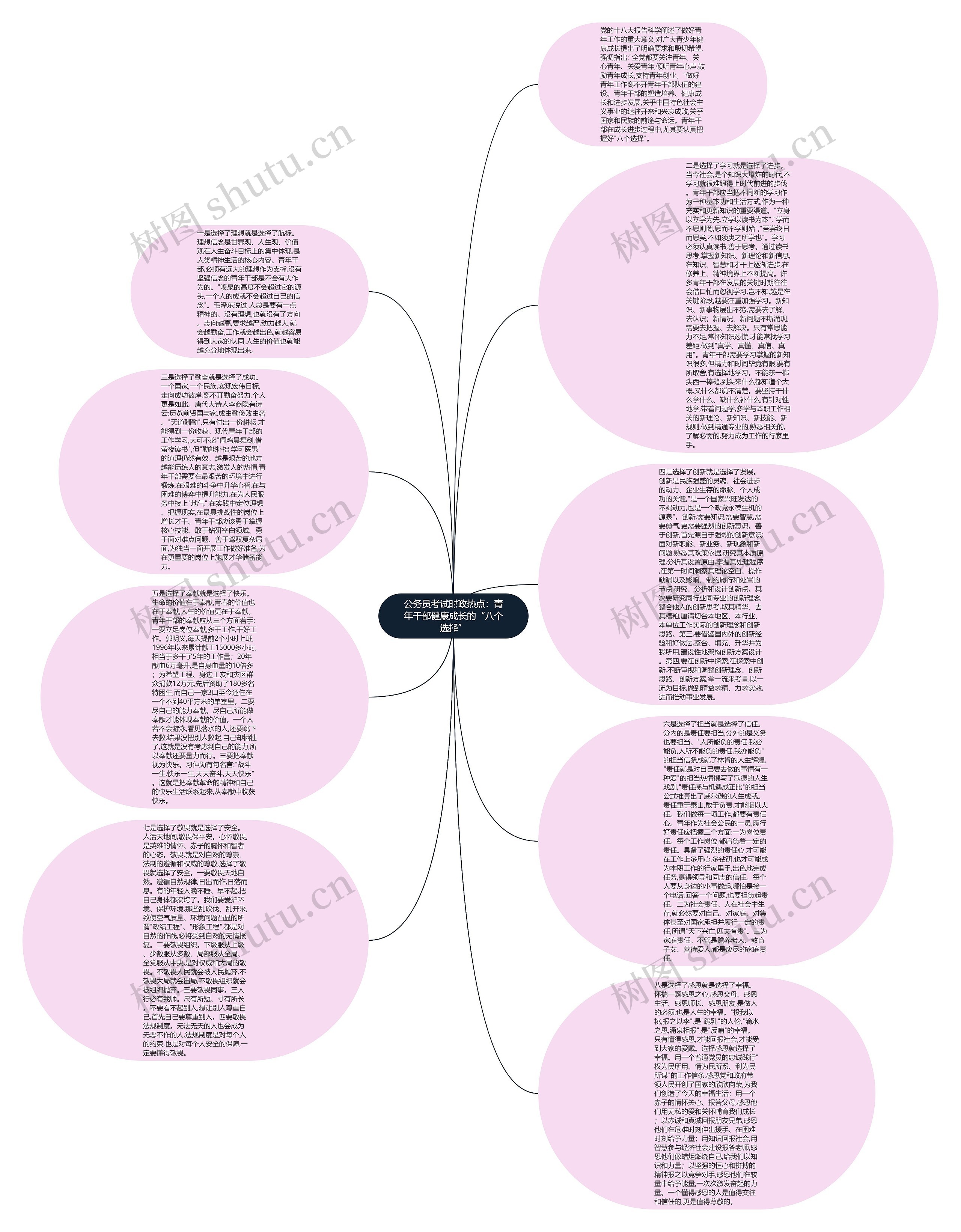 公务员考试时政热点：青年干部健康成长的“八个选择”思维导图