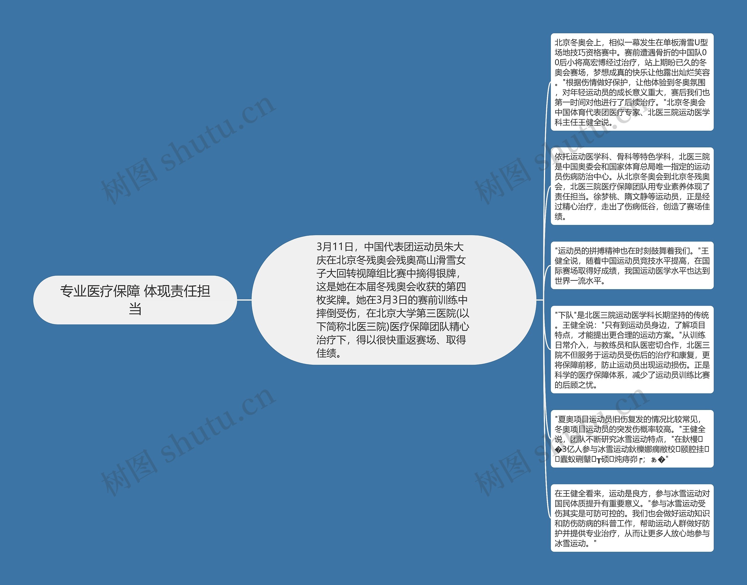 专业医疗保障 体现责任担当思维导图