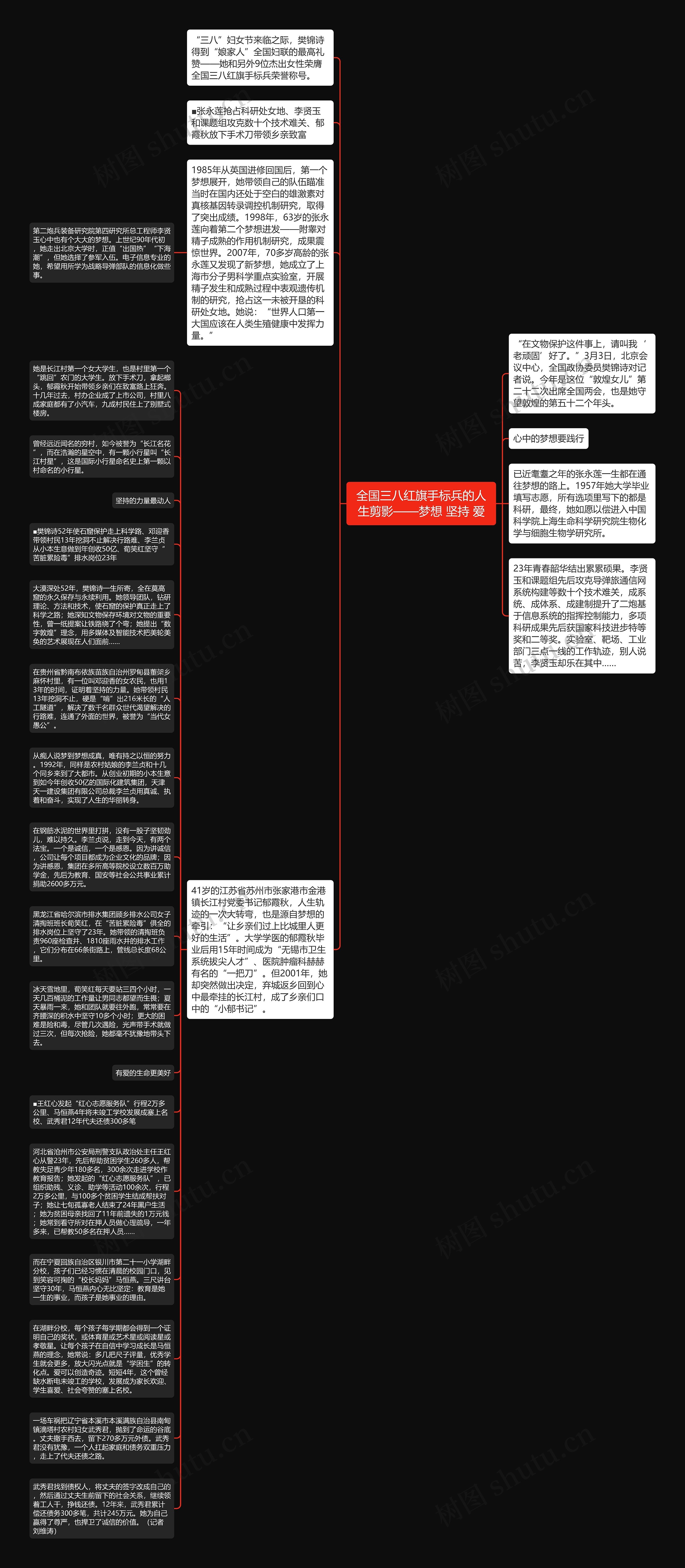 全国三八红旗手标兵的人生剪影——梦想 坚持 爱思维导图