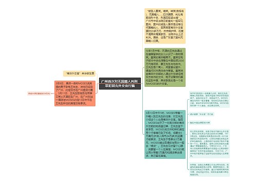 广州首次对无国籍人判刑 罪犯冒充外交官行骗