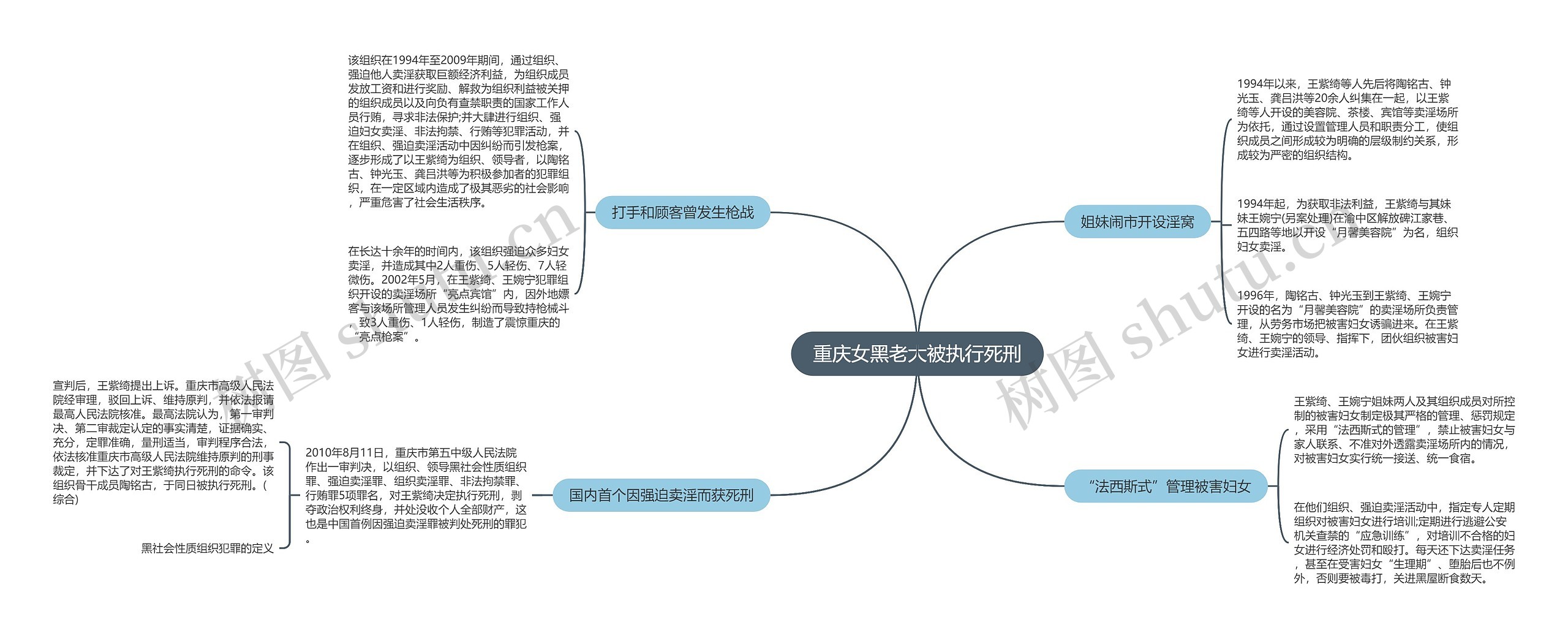 重庆女黑老大被执行死刑思维导图