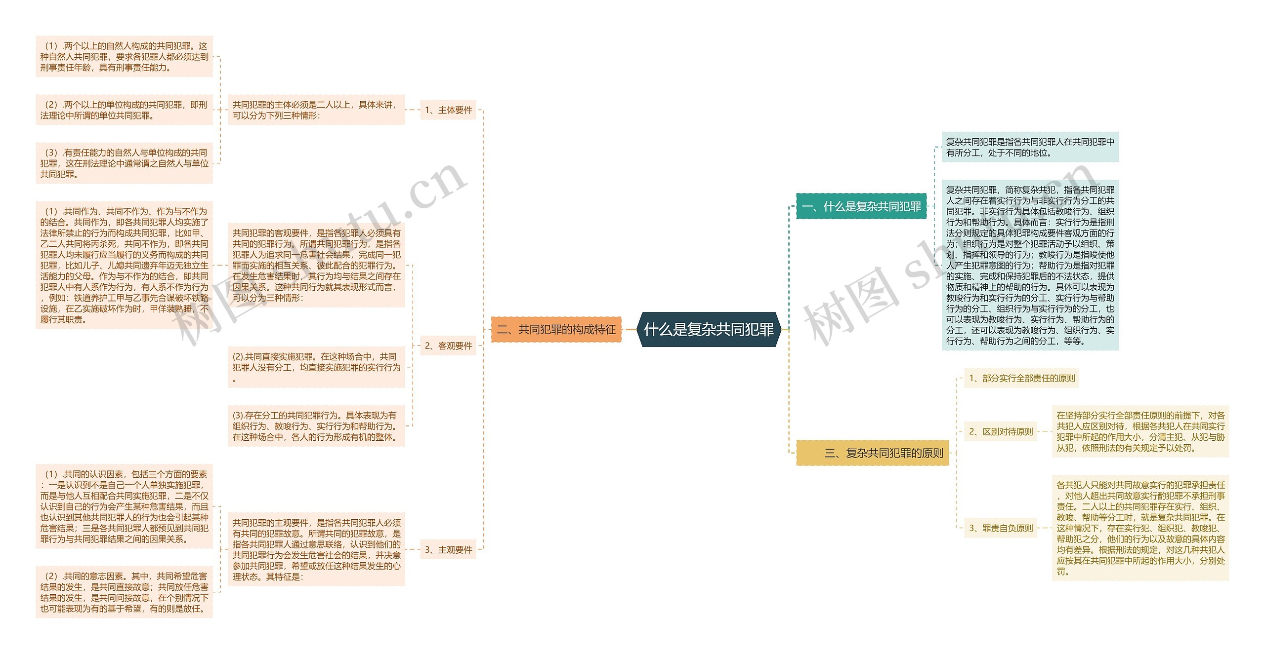 什么是复杂共同犯罪思维导图