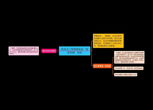 刑诉法二审草案取消“秘密拘捕”规定