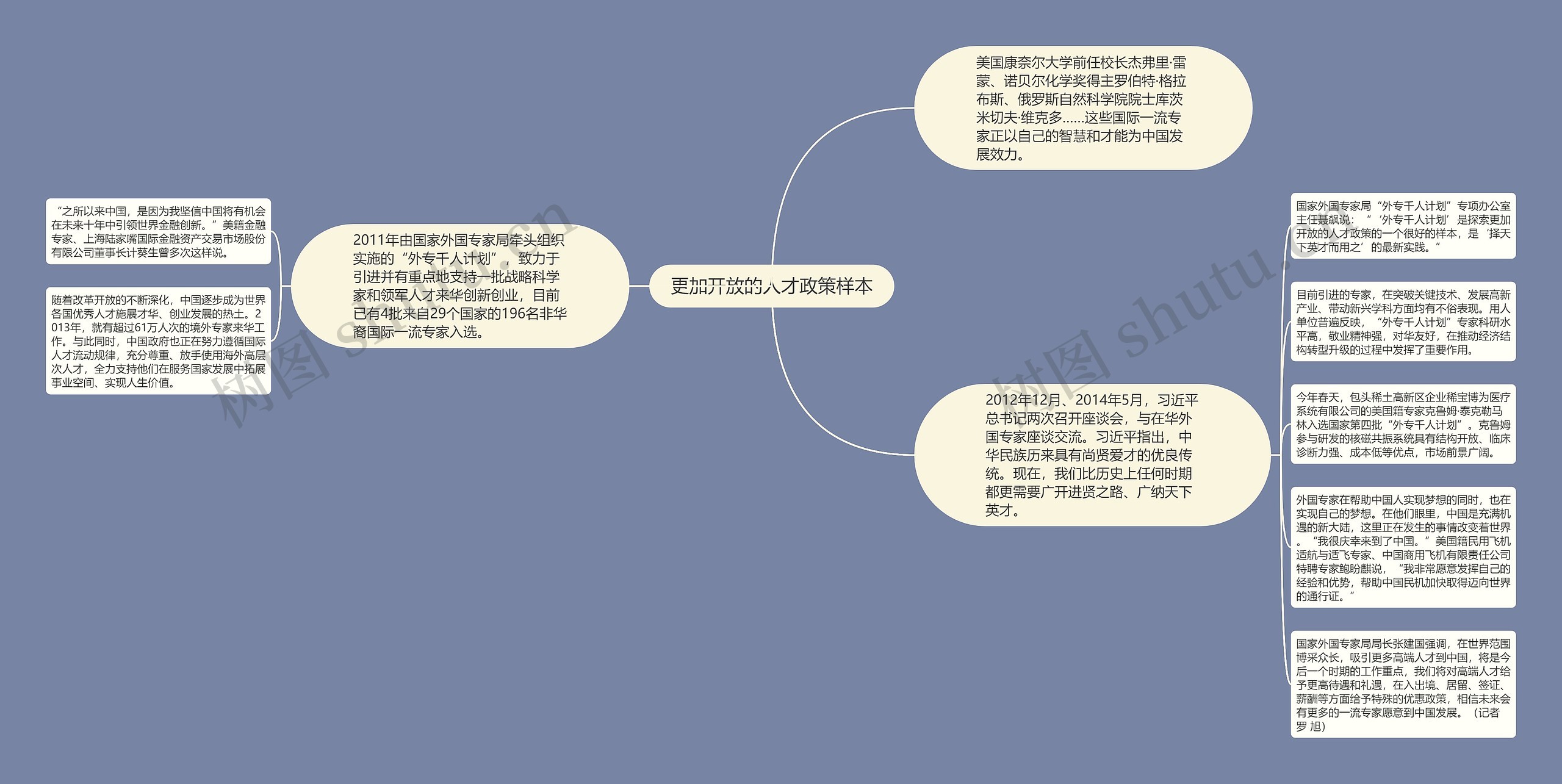 更加开放的人才政策样本思维导图