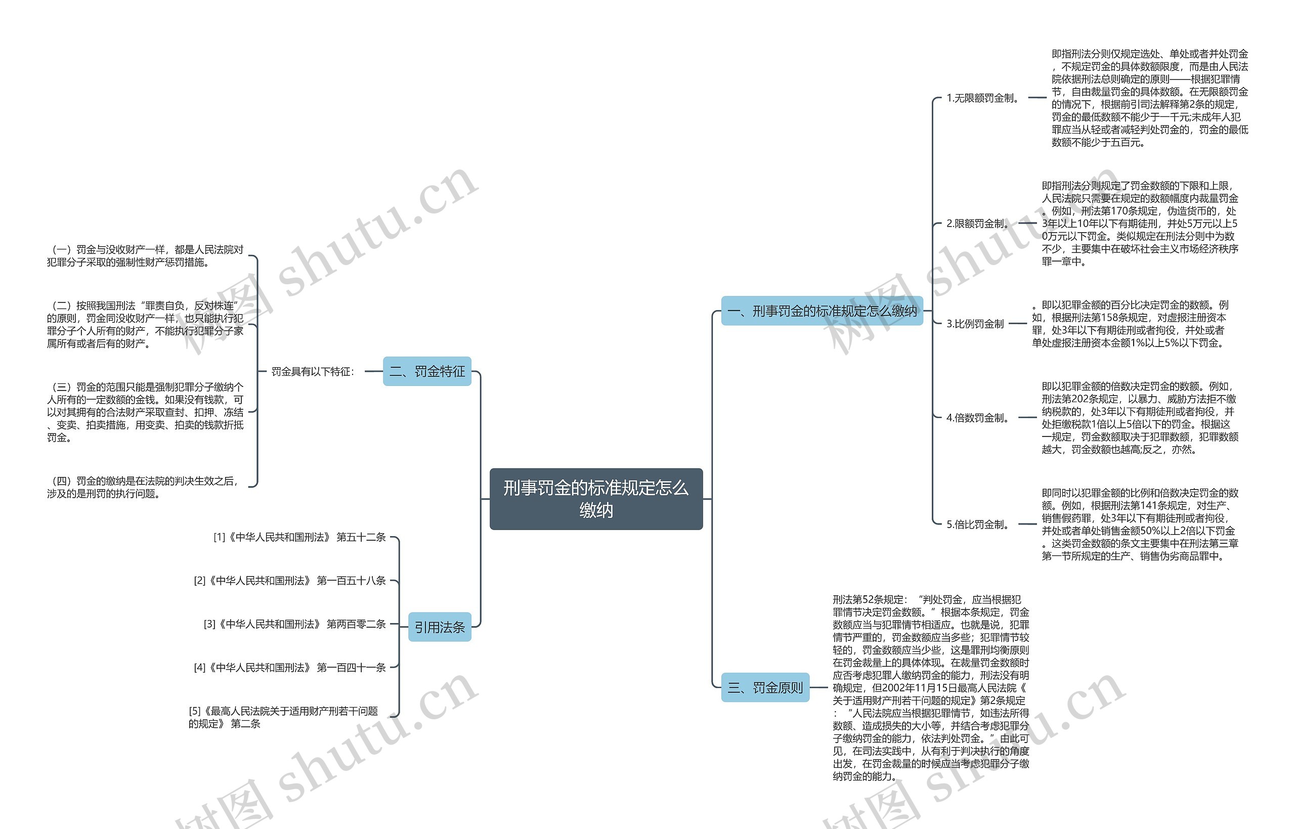 刑事罚金的标准规定怎么缴纳思维导图